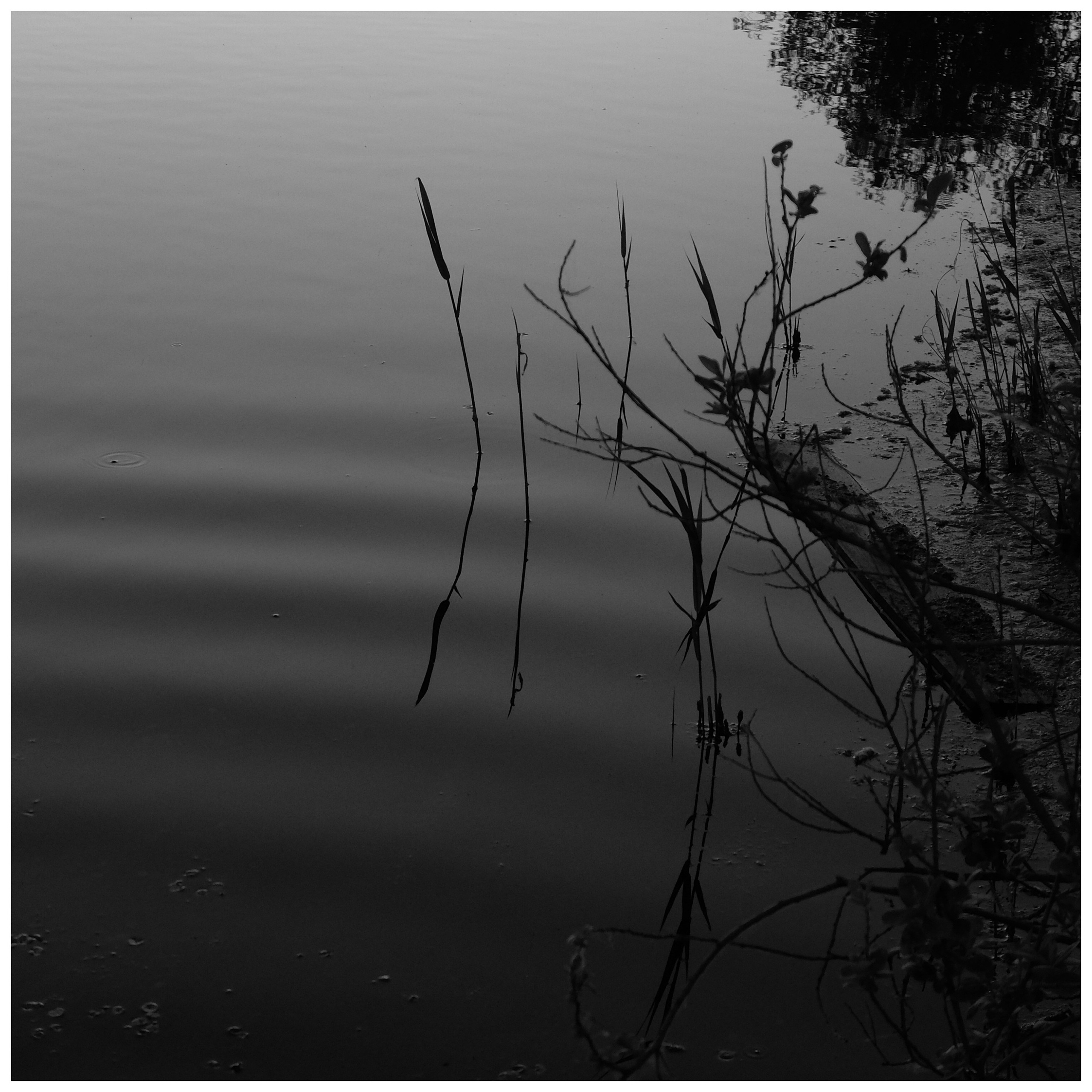 Промежуточные моменты (2022)