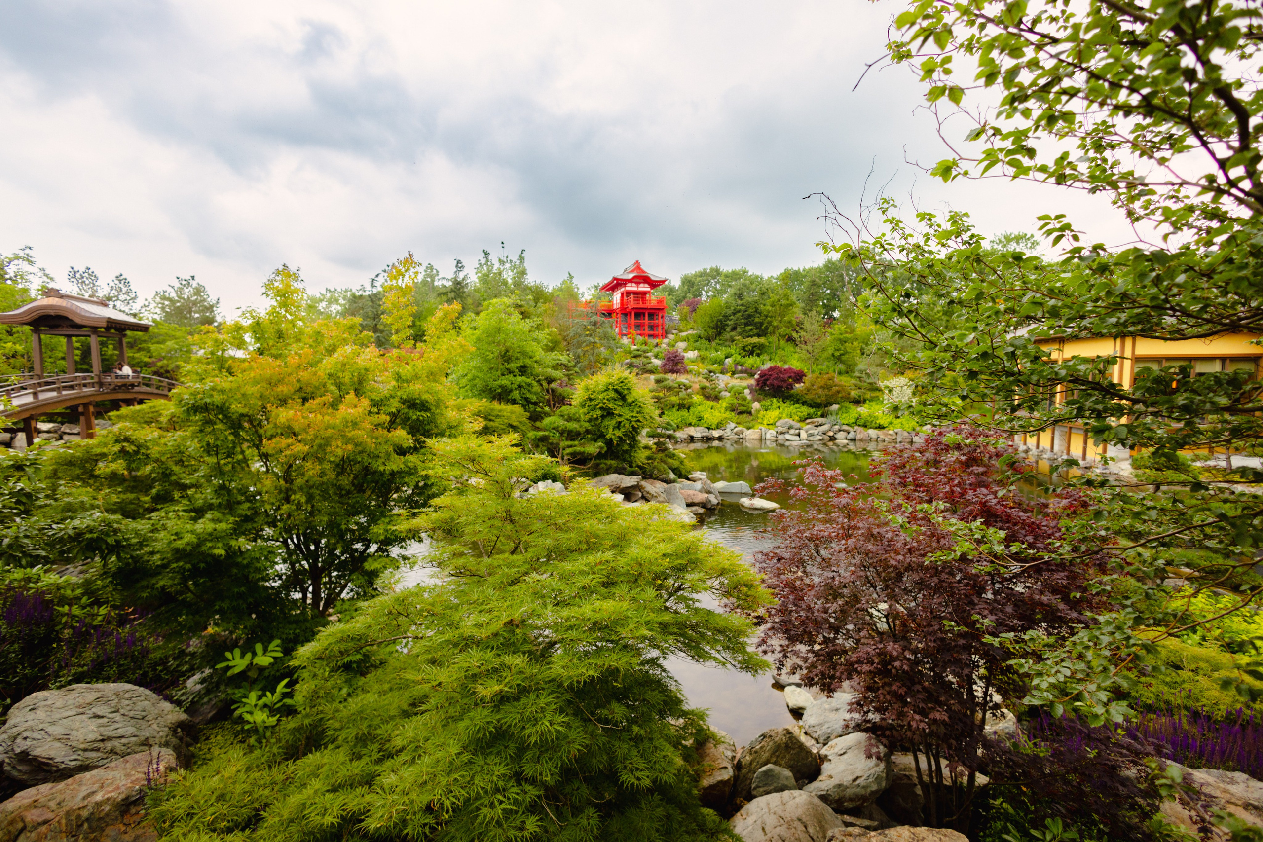 Японский сад в Краснодаре. Профессиональный фотограф и видеооператор