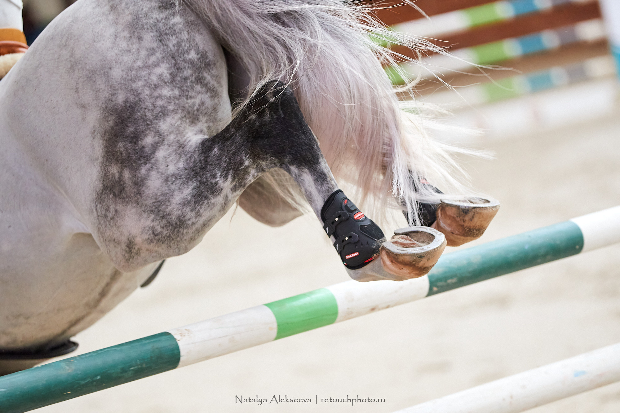 Финал Командного Maxima Masters, КСК Maxima Stables | 04'2021. Репортажный фотограф и ретушер в Москве Наталья Алексеева