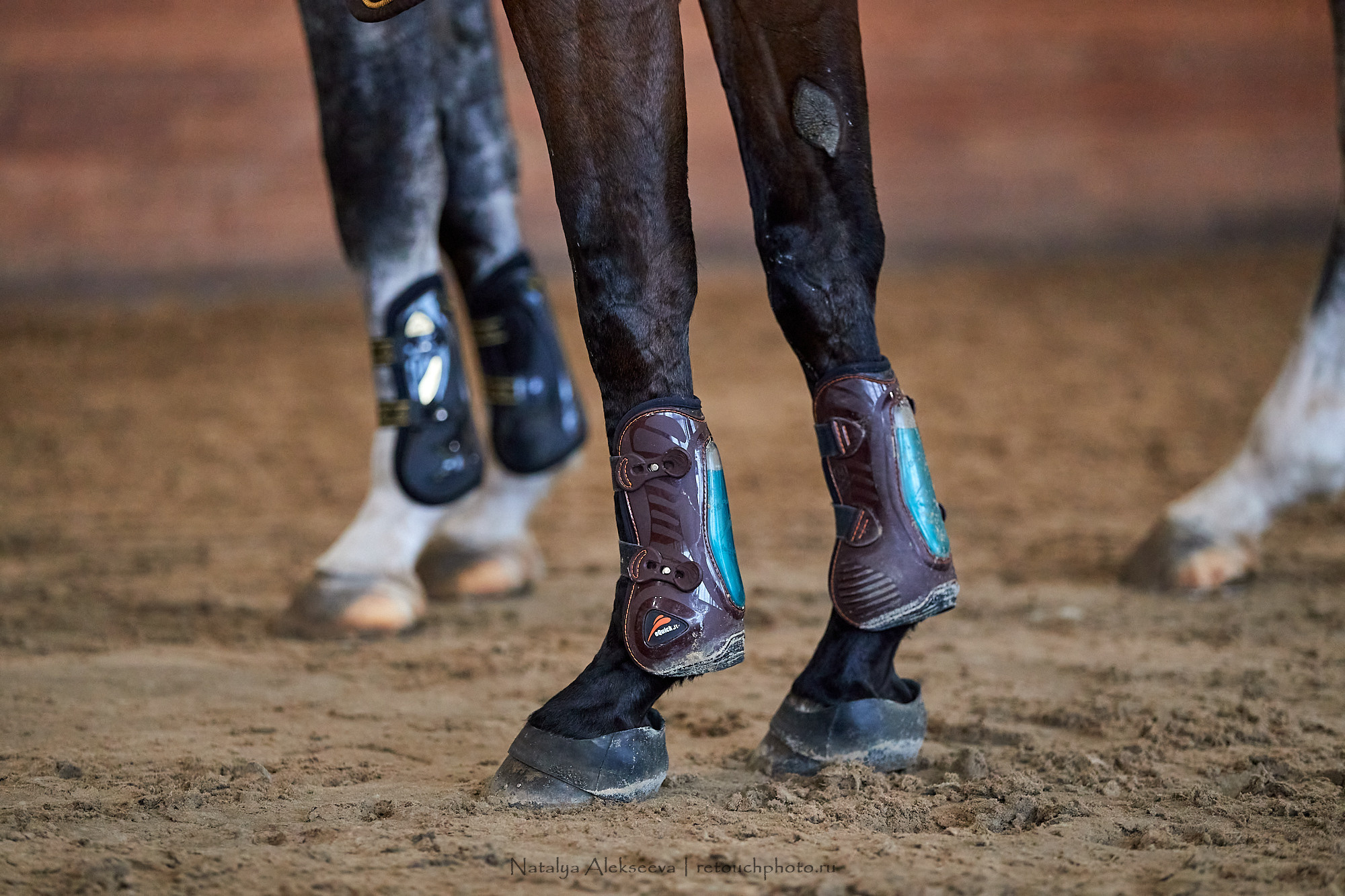 Финал Командного Maxima Masters, КСК Maxima Stables | 04'2021. Репортажный фотограф и ретушер в Москве Наталья Алексеева