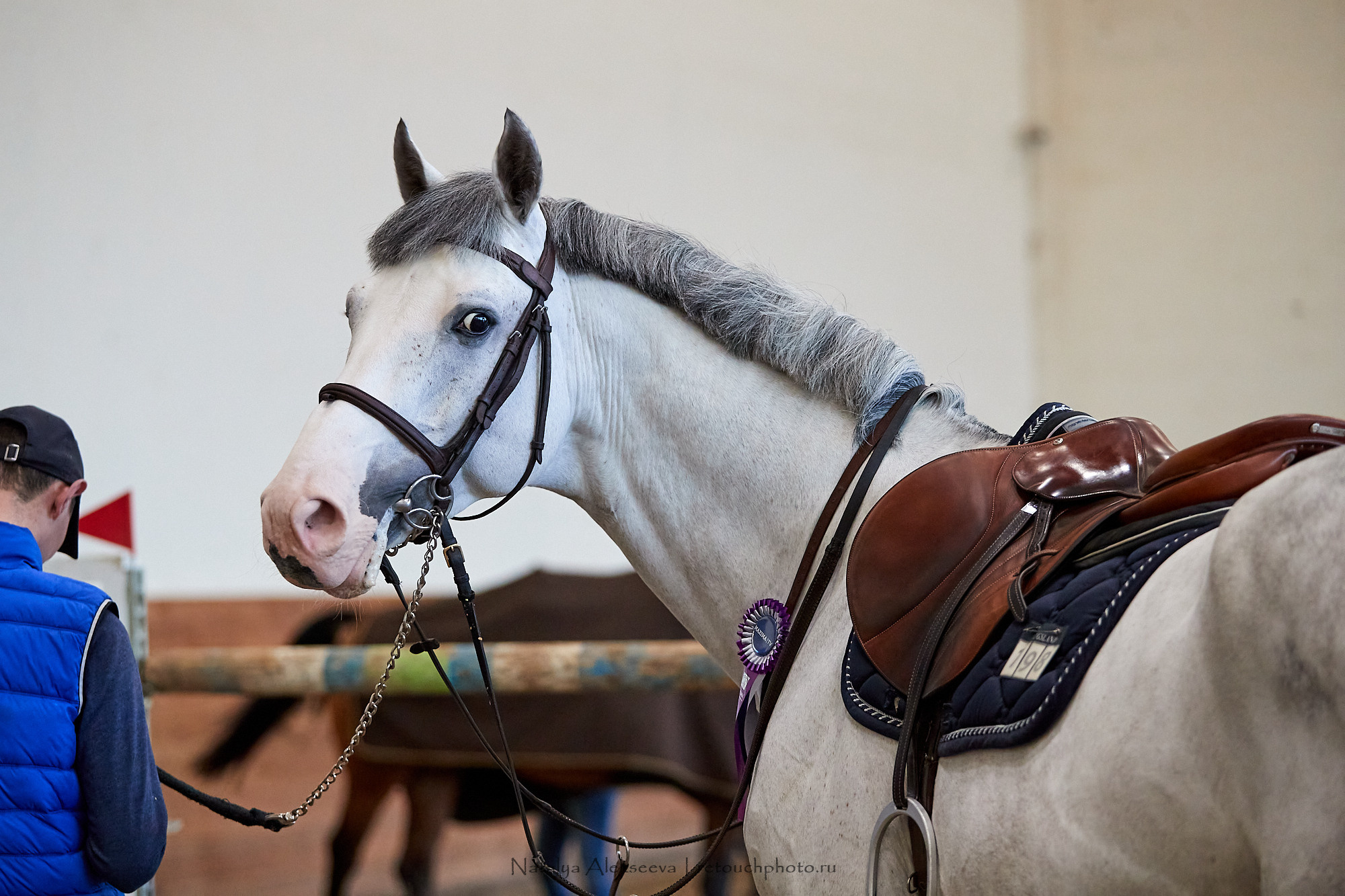 Финал Командного Maxima Masters, КСК Maxima Stables | 04'2021. Репортажный фотограф и ретушер в Москве Наталья Алексеева