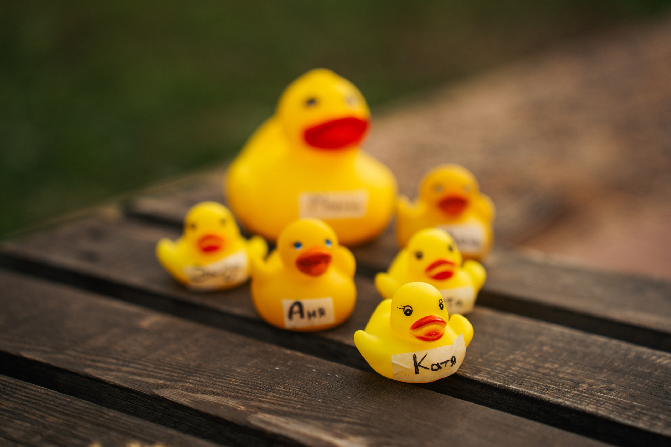 Девичник. Сыч. Фотограф в Воронеже Ольга Космодемьянская