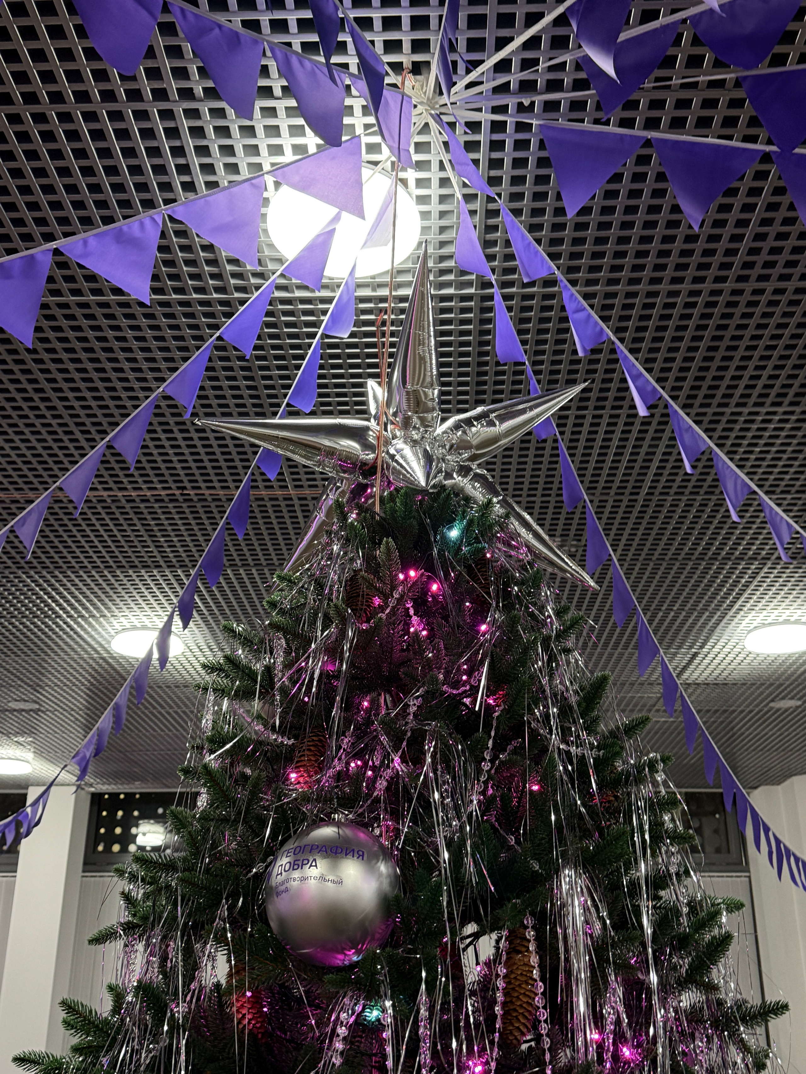 Кибер Елка Моторика. Фотограф Настя Лев