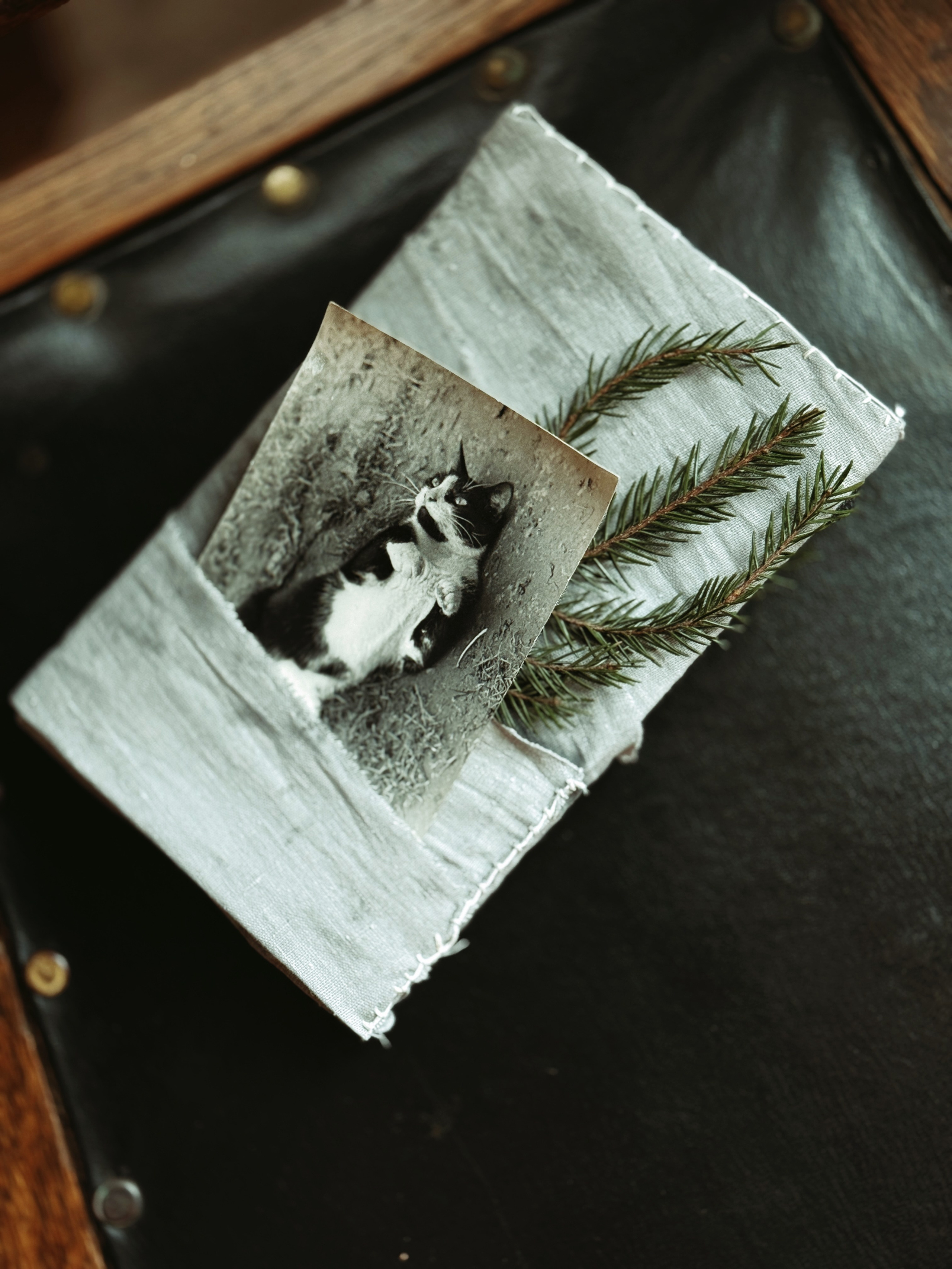 Упаковка Подарков. Фотограф Настя Лев