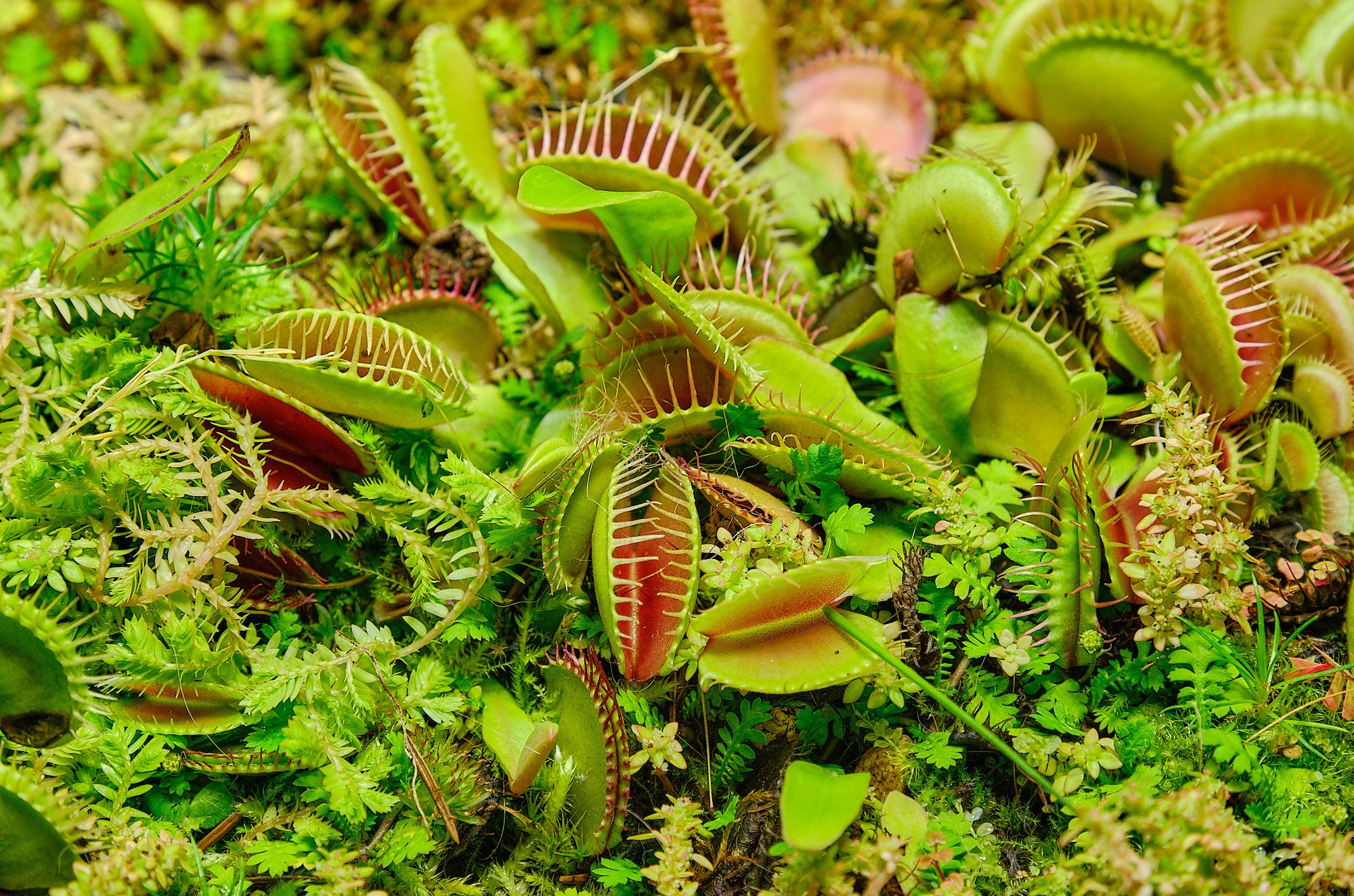 Фотоальбом с разными съёмками