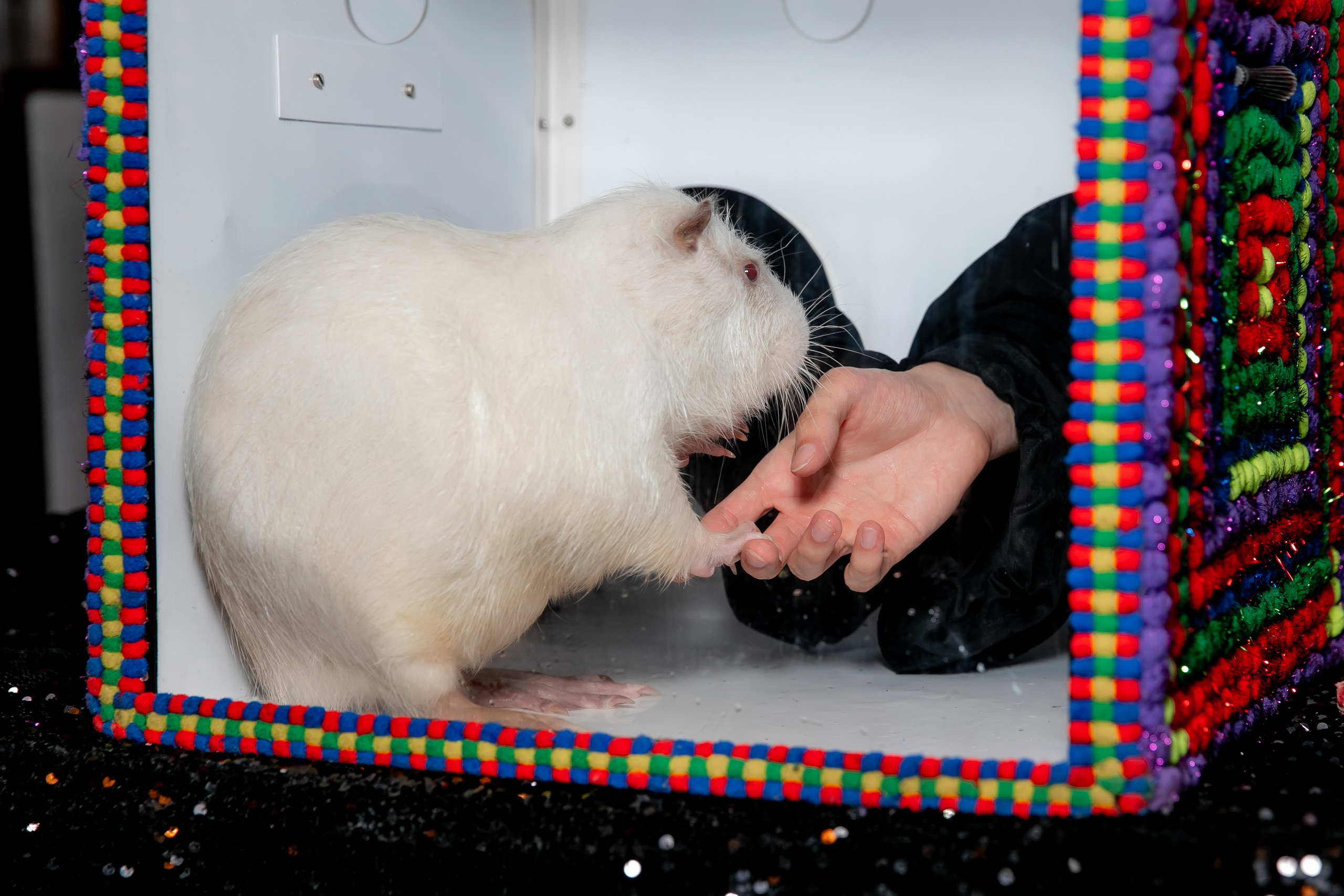 Дни рождения взрослые. Семейный фотограф в Москве