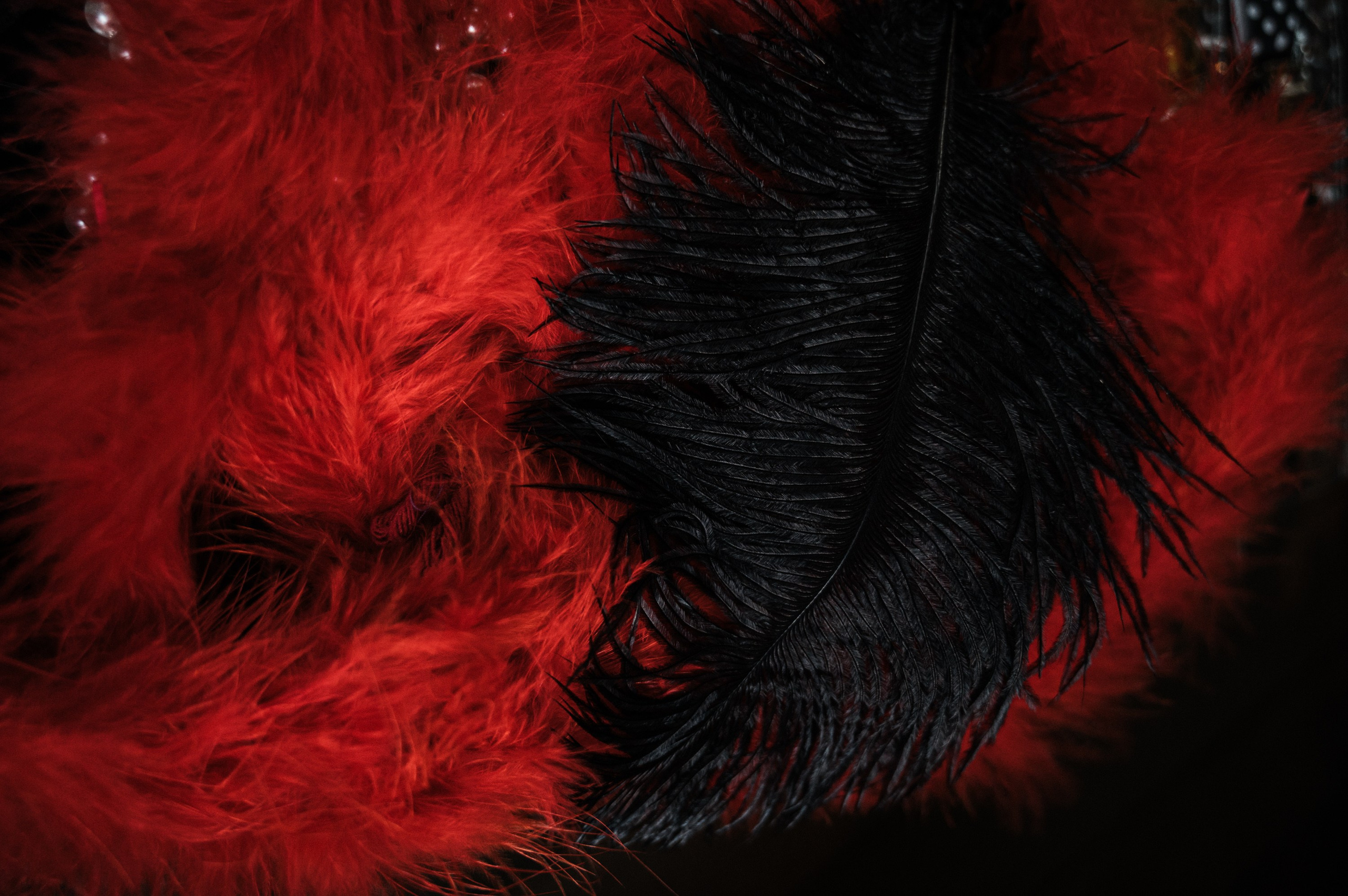 Репортажный фотограф на корпоратив и другие мероприятия. Свадебный и семейный фотограф в Краснодаре Марина Стёпа