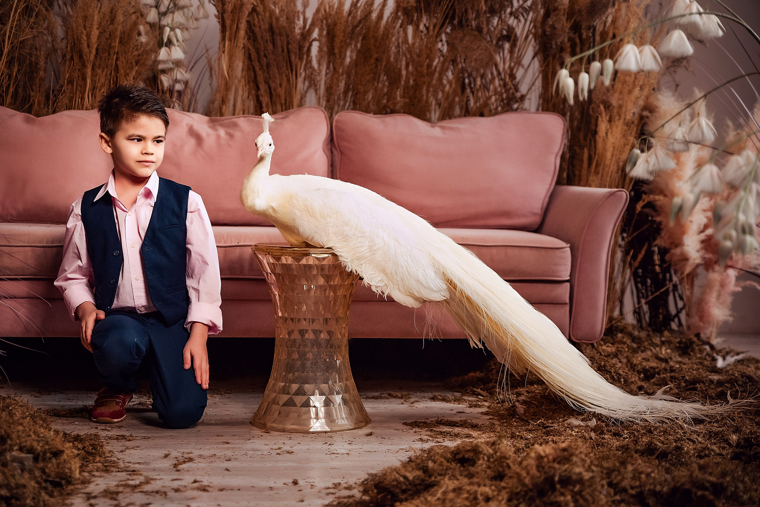 Павлин. Фотограф в Москве Lidiya_Li_Photo