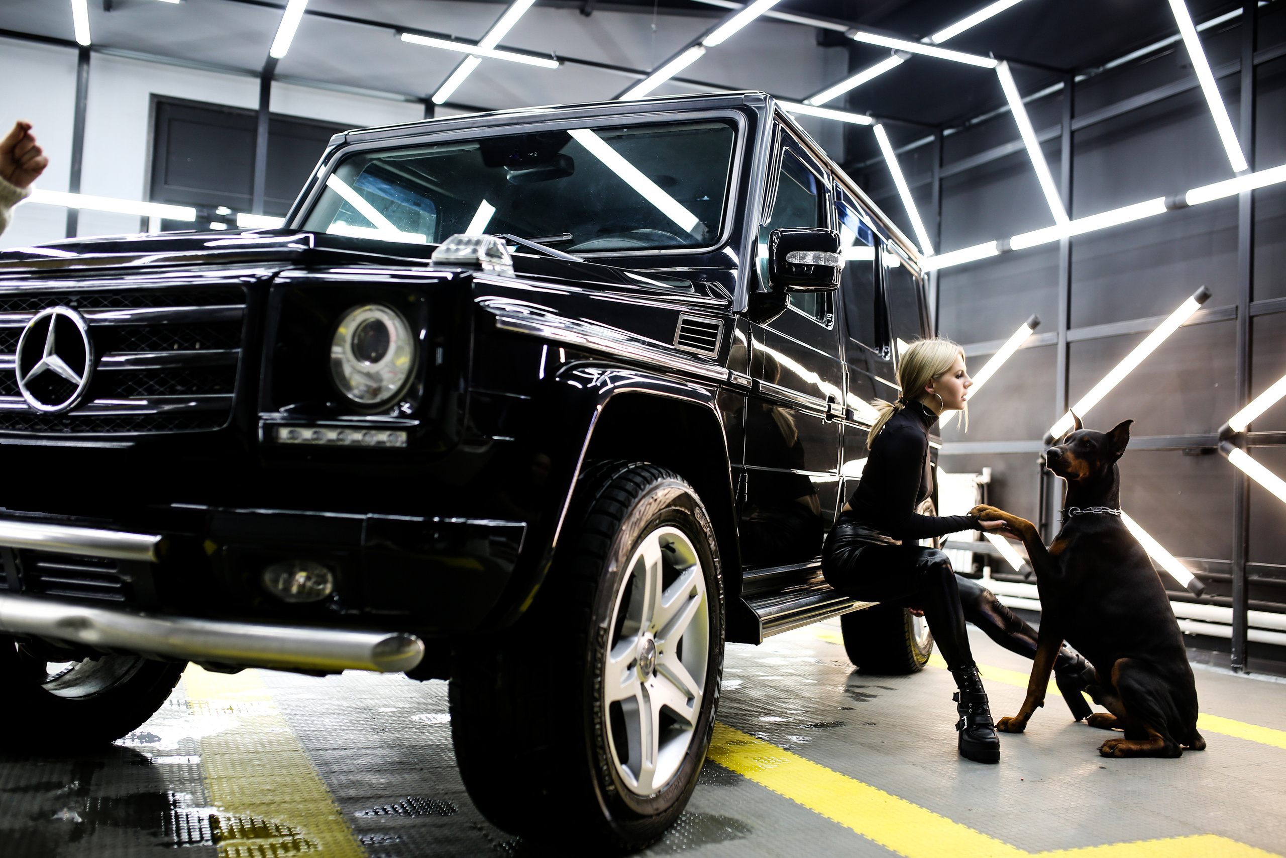 Гелик и доберман. Фотограф Смоленск Дина Петровская