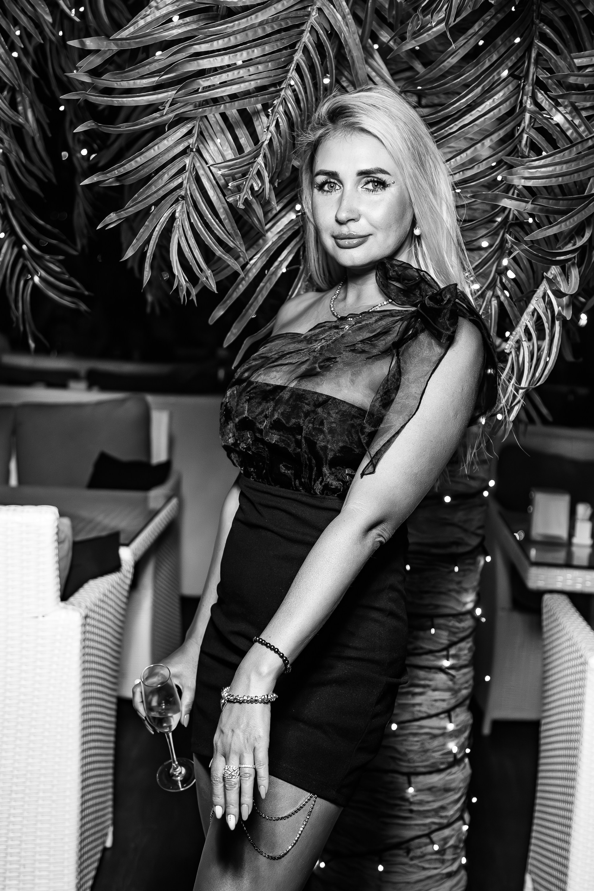 «МИША МАРВИН"_Чайка на пляже_Ялта_14.06.2025. Аминов Руслан | Фотограф