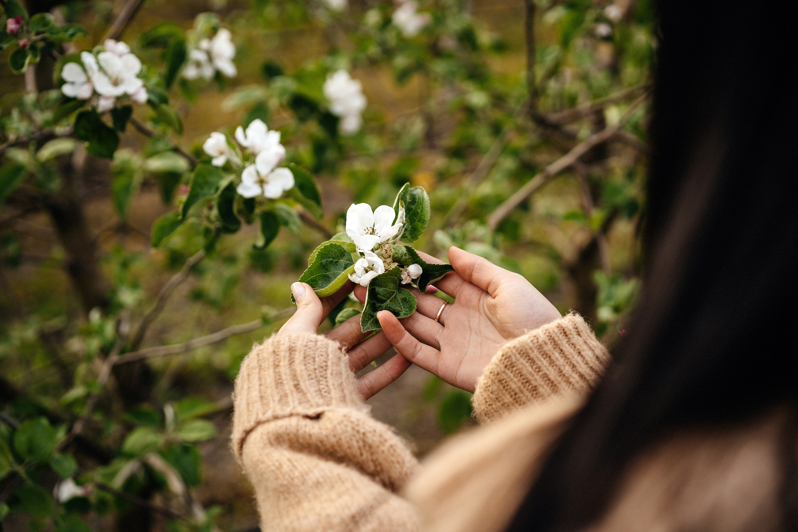 Анастасия. Свадебный фотограф Александр Воронов — Белгород, Воронеж, Москва
