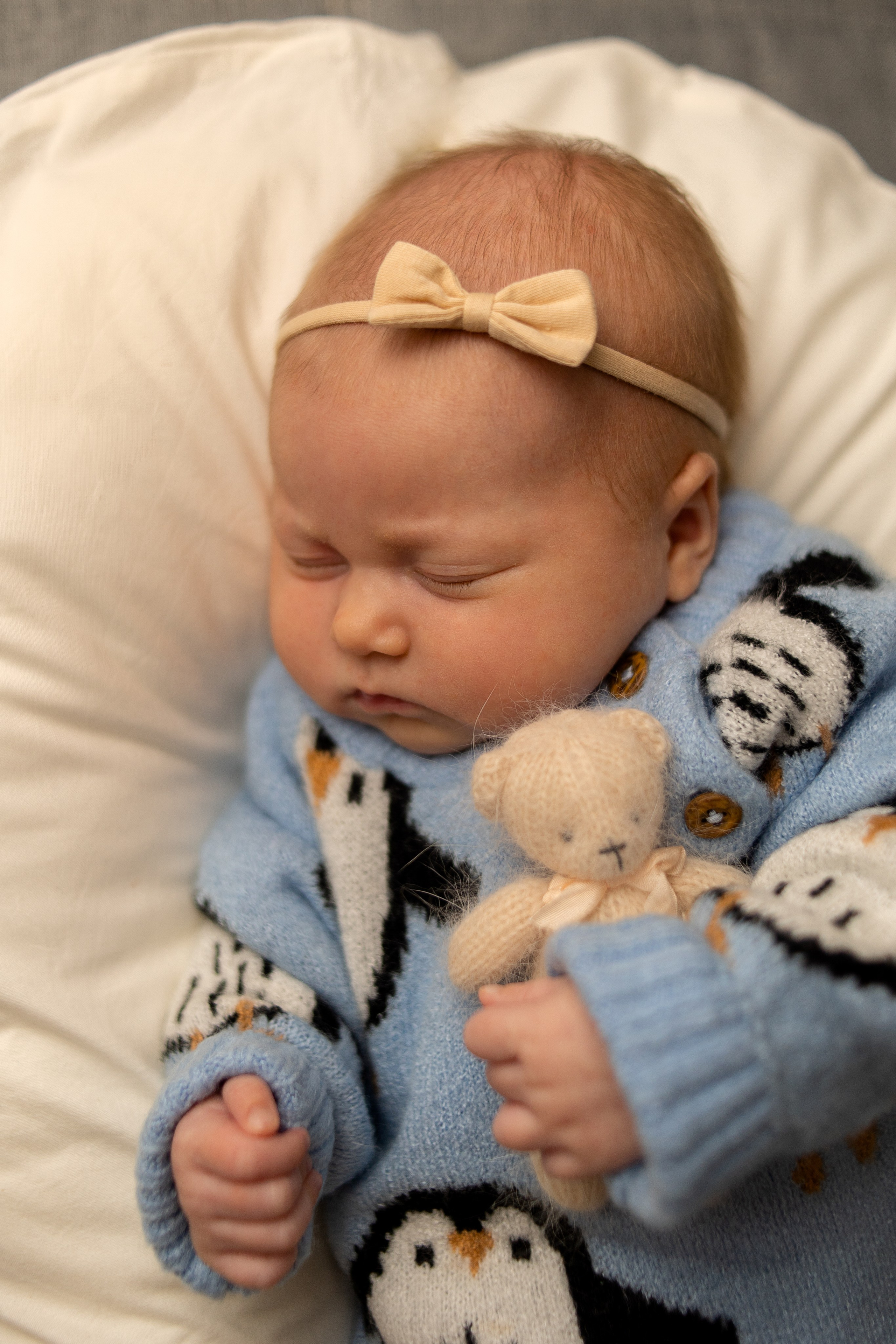 Фотосессия новорожденного в Санкт-Петербурге