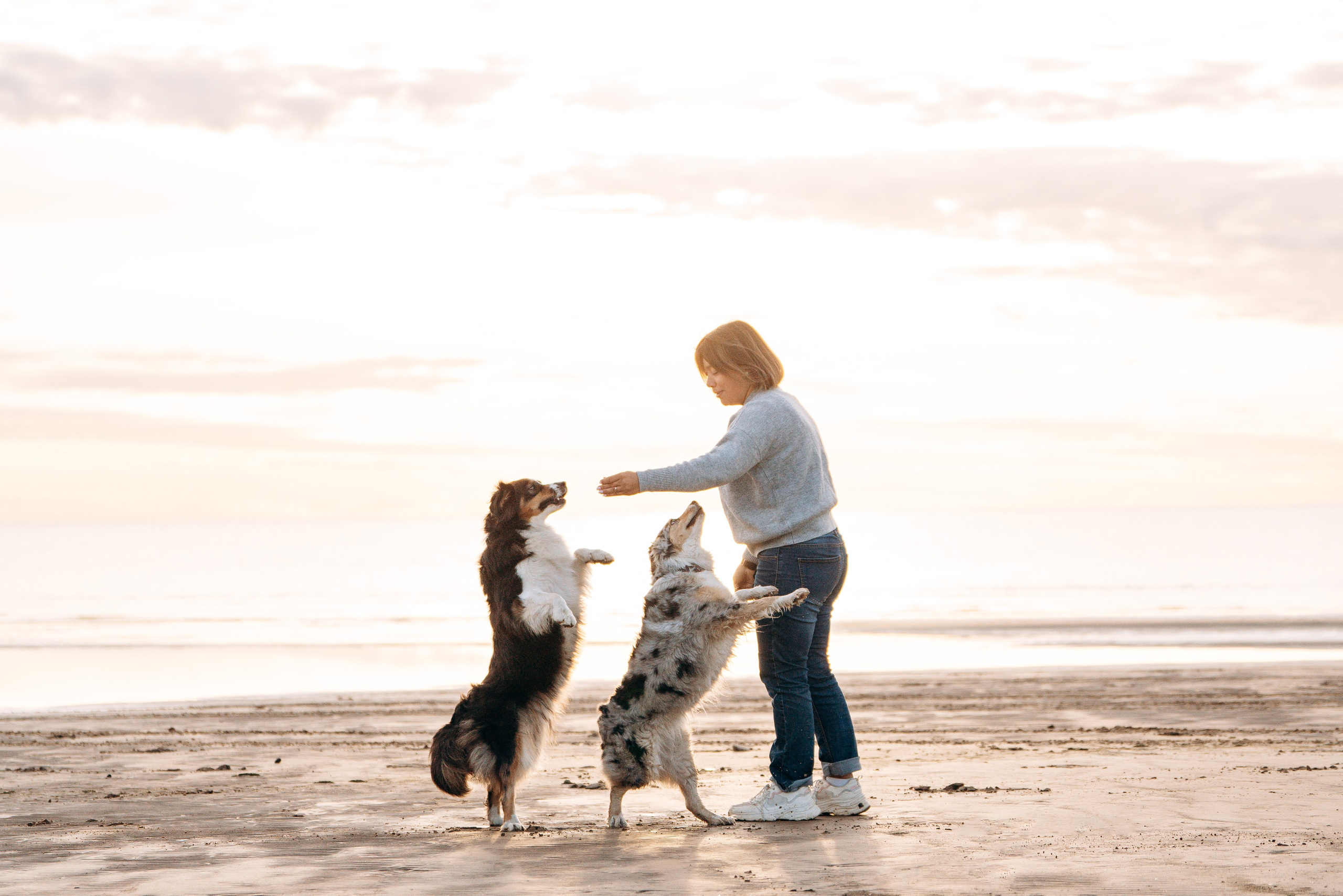 Фотограф анималист в Спб. Фотограф анималист в Спб недорого Олеся Майорова