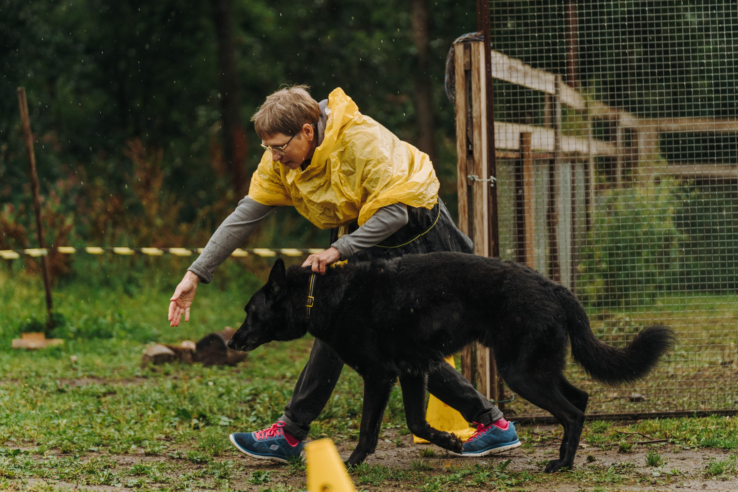 Соревнования по ноузворку в Новожилово. Фотограф анималист в Спб недорого Олеся Майорова