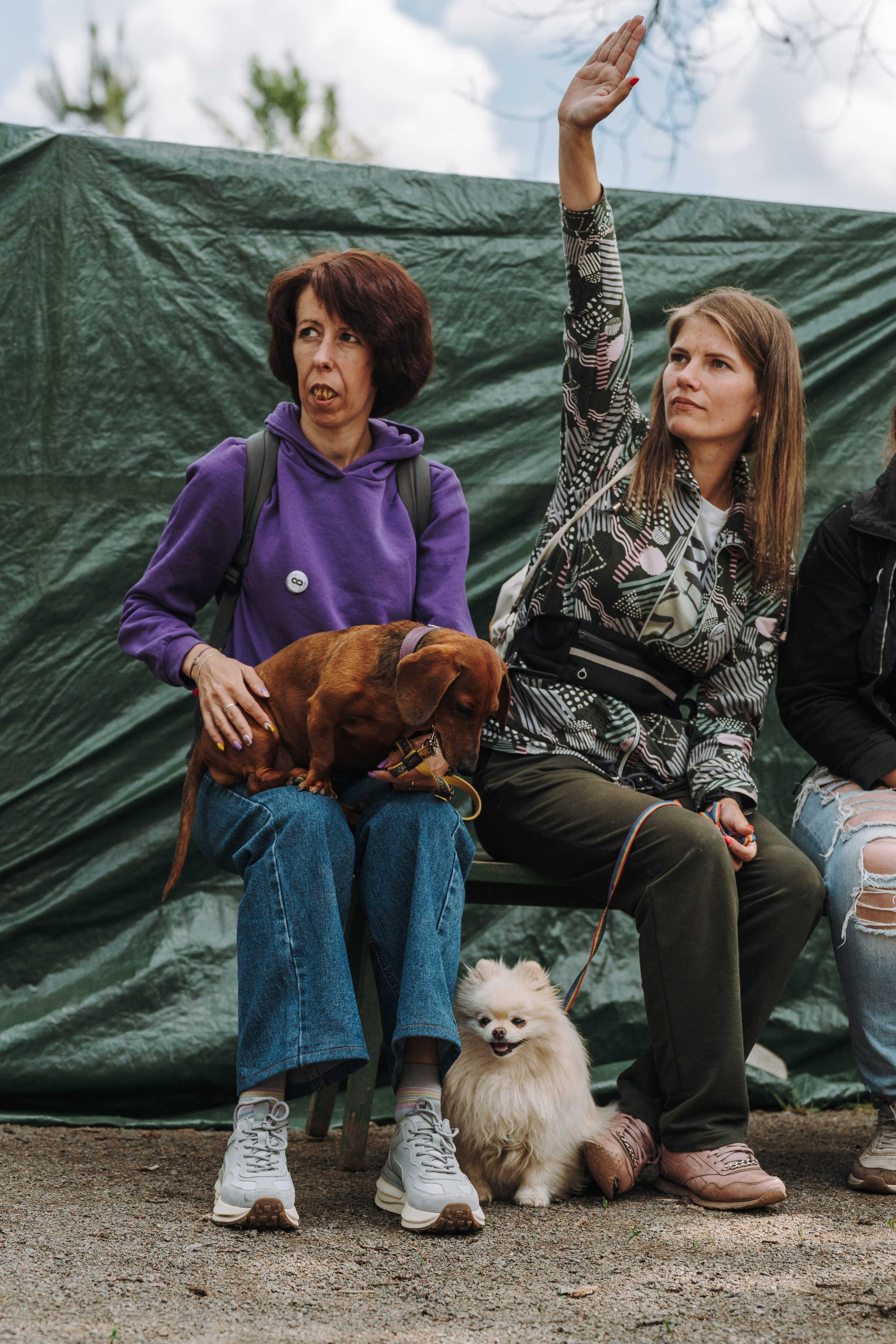 Соревнования по ноузворку. Фотограф анималист в Спб недорого Олеся Майорова