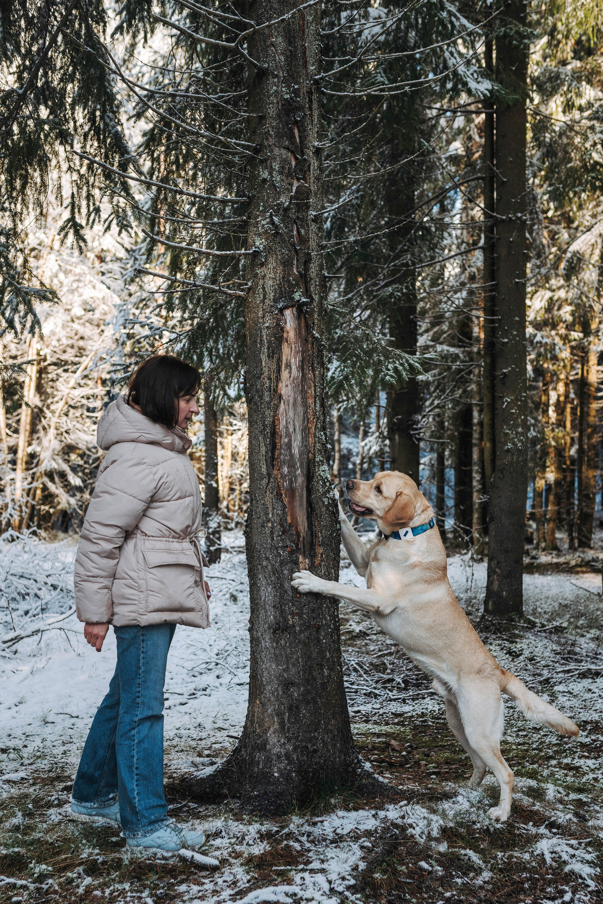 Аня и Честер. Фотограф анималист в Спб недорого Олеся Майорова