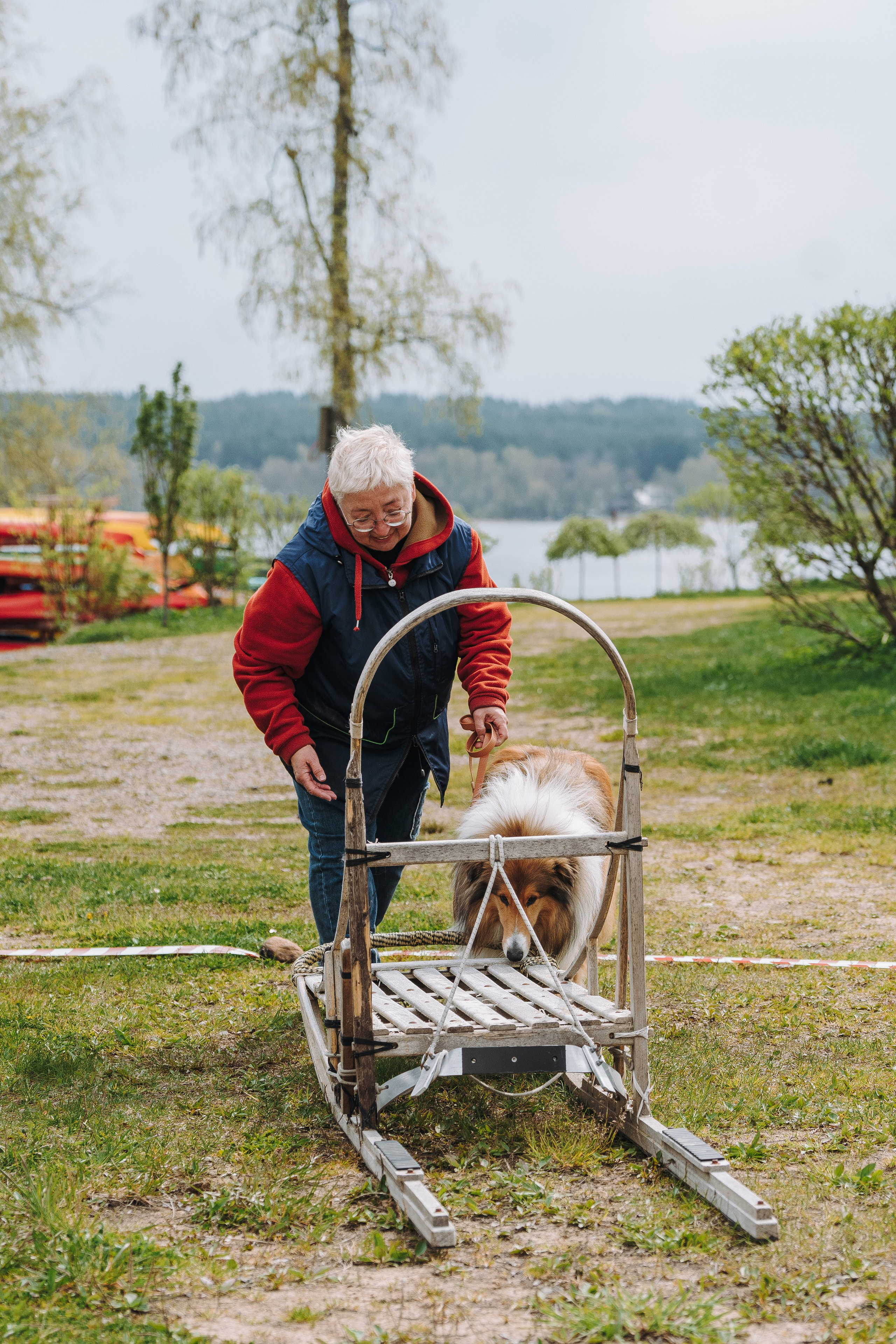 Соревнования по ноузворку в Лосево. Фотограф анималист в Спб недорого Олеся Майорова