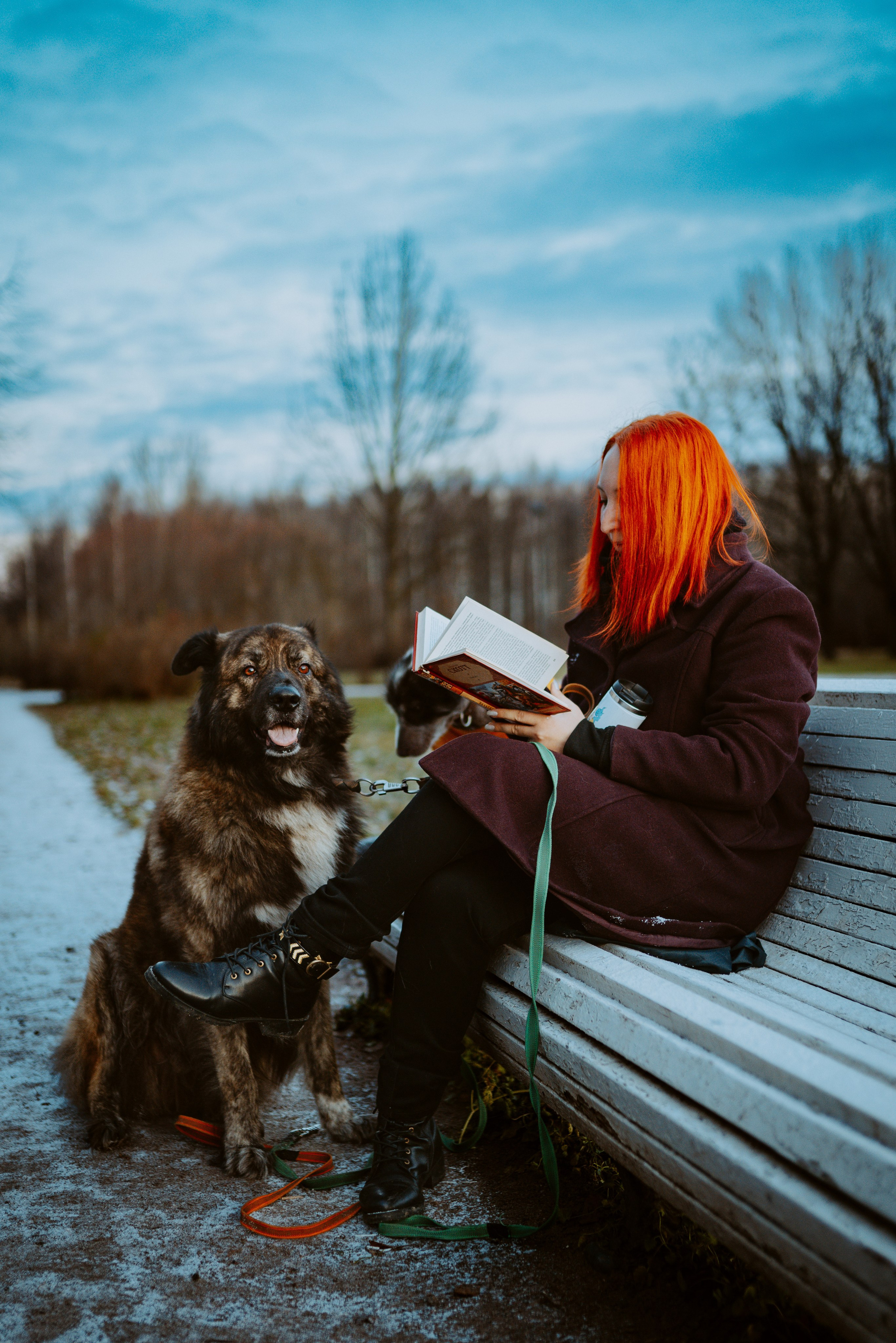 Творческая фотосессия фотографа анималиста. Фотограф анималист в Спб недорого Олеся Майорова