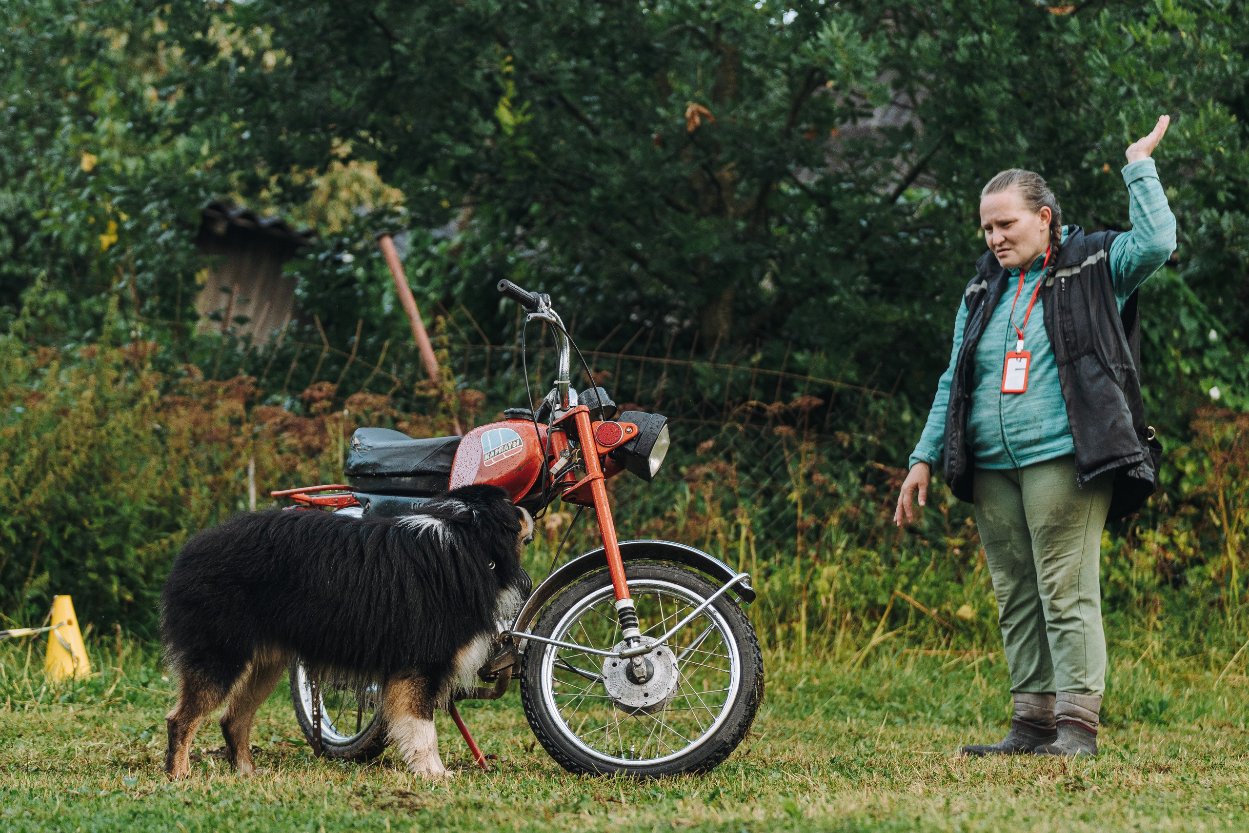 Соревнования по ноузворку в Новожилово. Фотограф анималист в Спб недорого Олеся Майорова