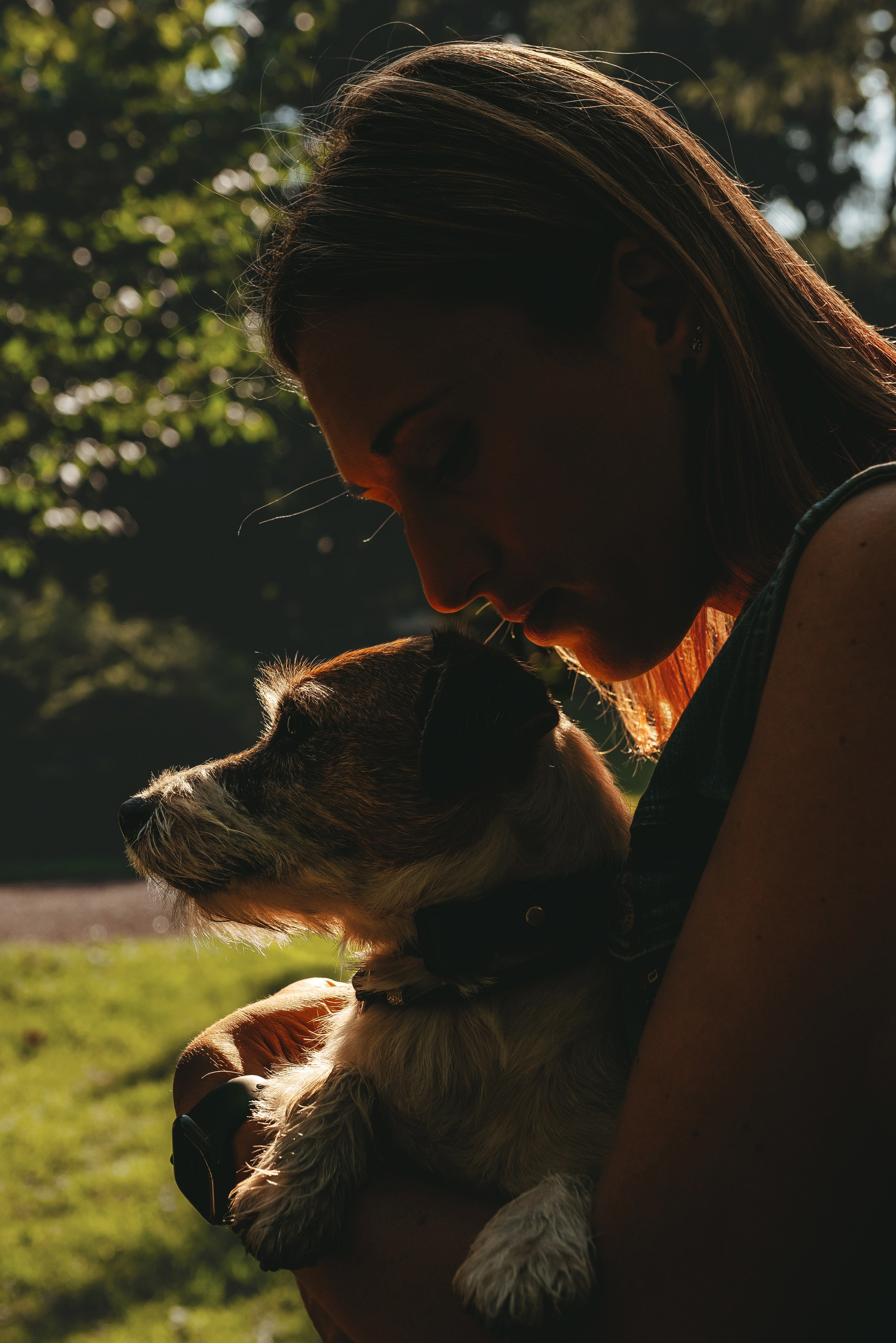 Ларс, Лукас и Ольга. Фотограф анималист в Спб недорого Олеся Майорова
