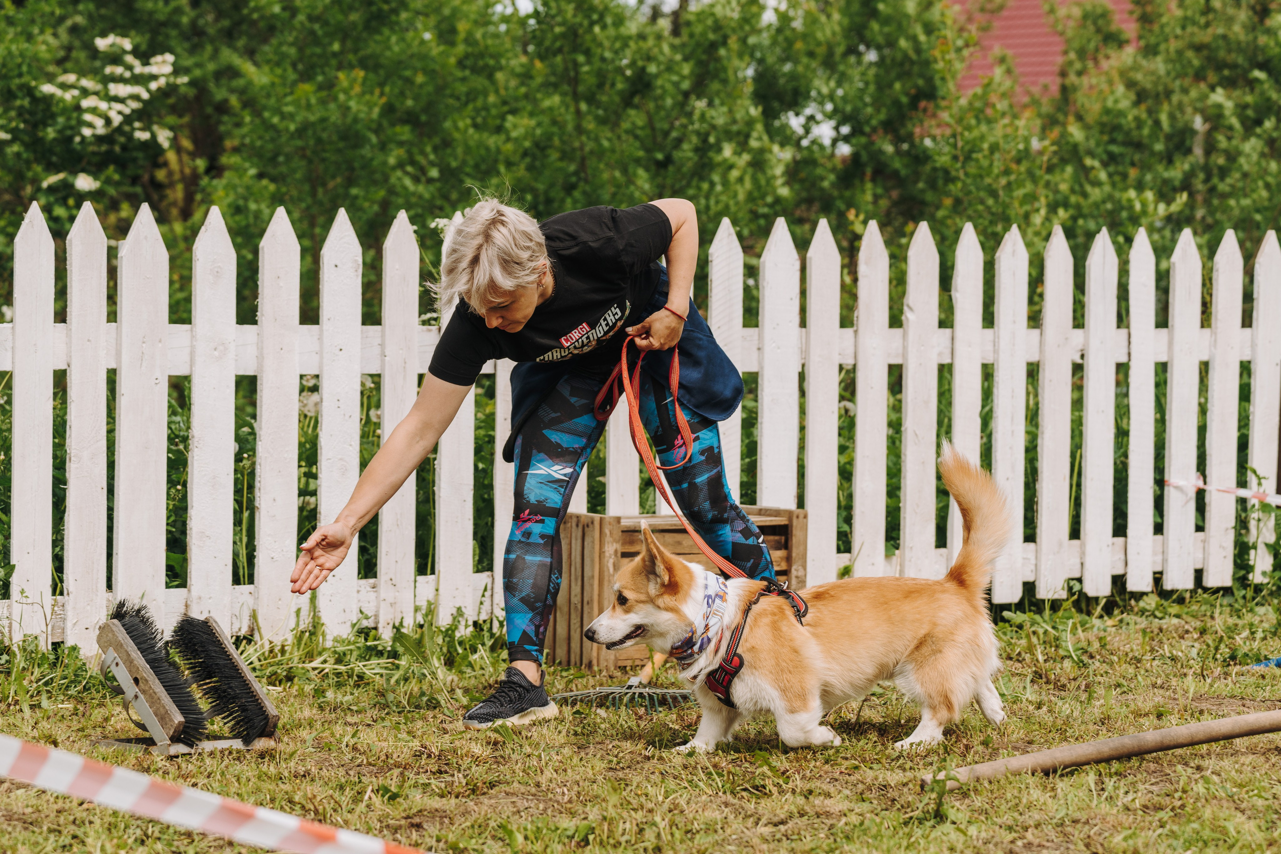 Соревнования по ноузворку. Фотограф анималист в Спб недорого Олеся Майорова