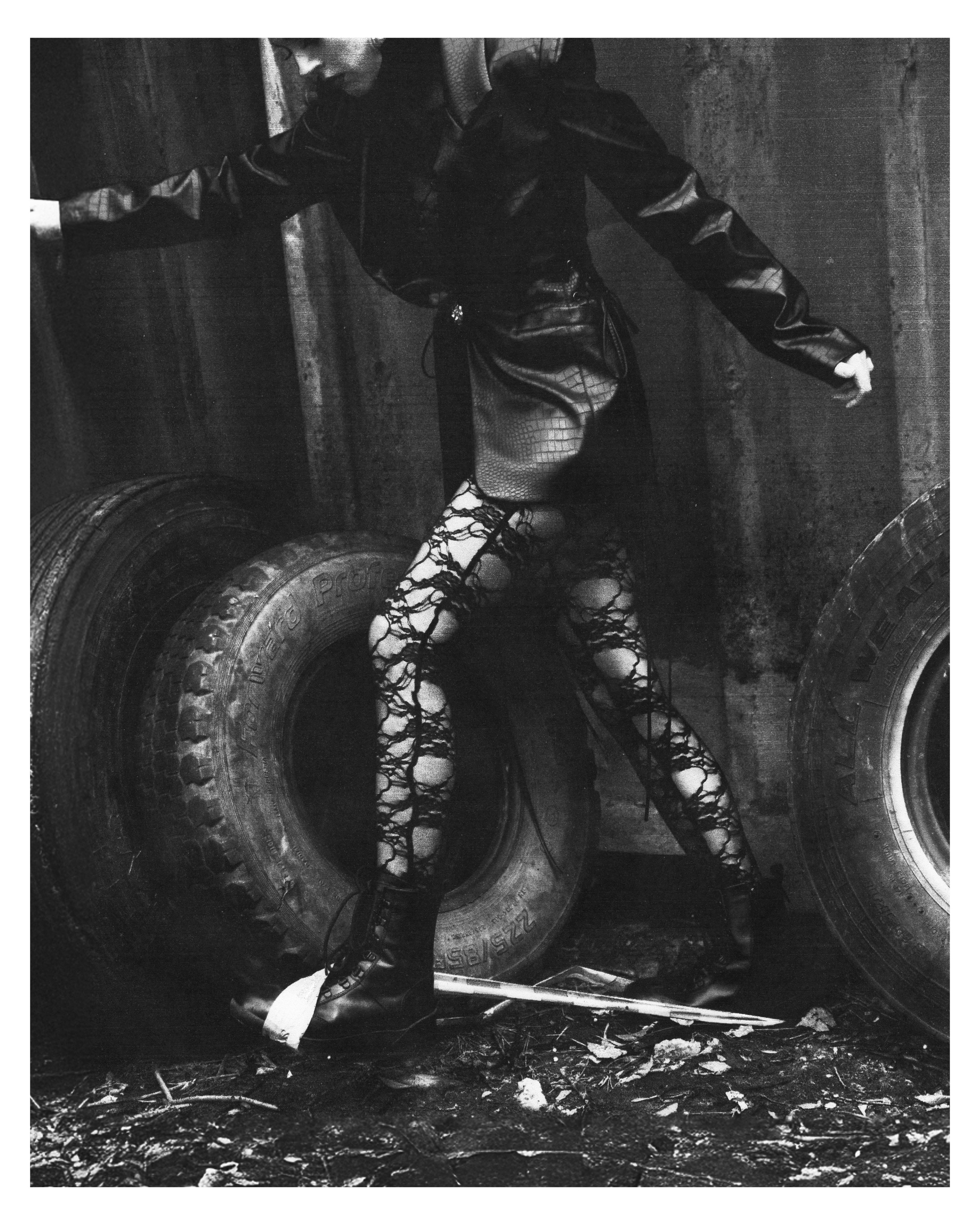 PHASES. Visual Creator Paulina Gonsales