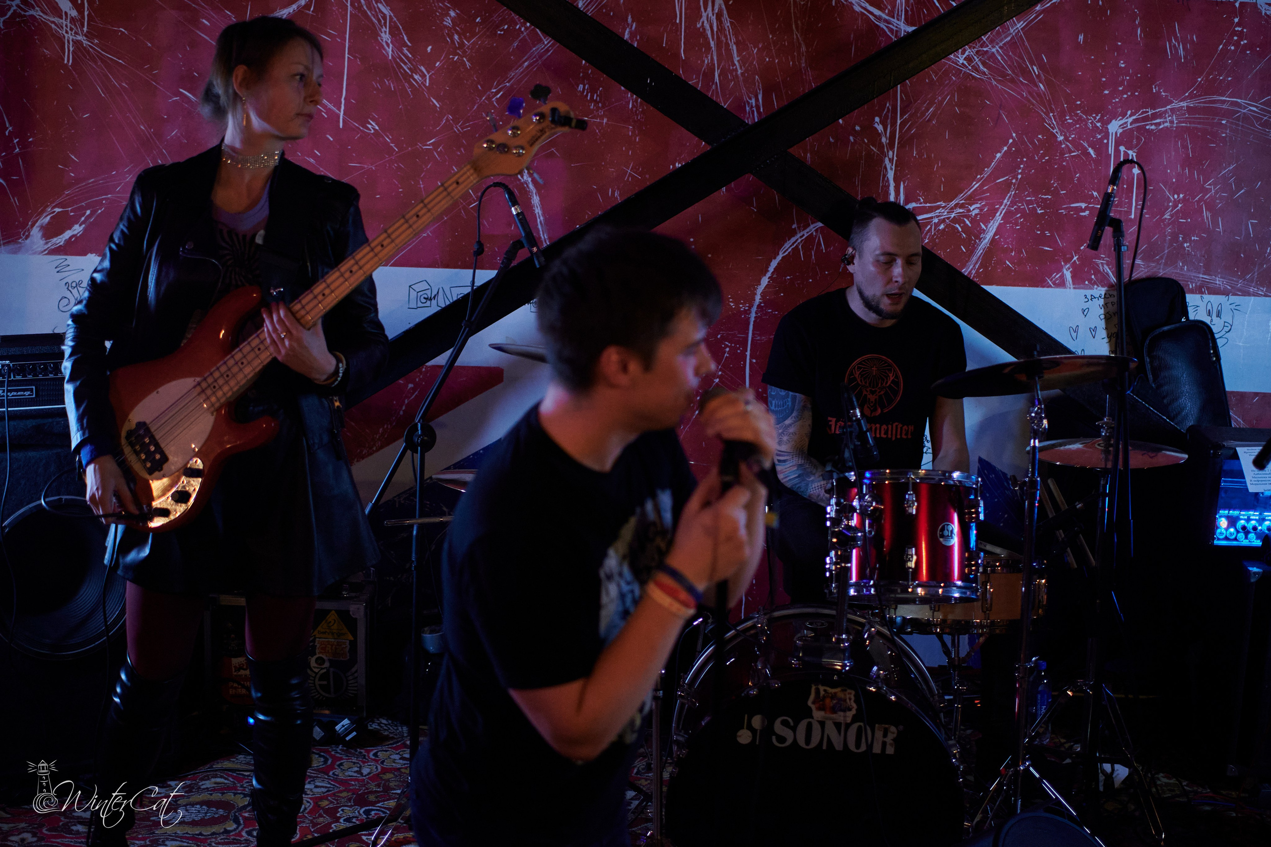 День Рождения Честер Четыре Года. Портретный и репортажный фотограф в Магадане Андрей Нефедов WinterCatPhoto