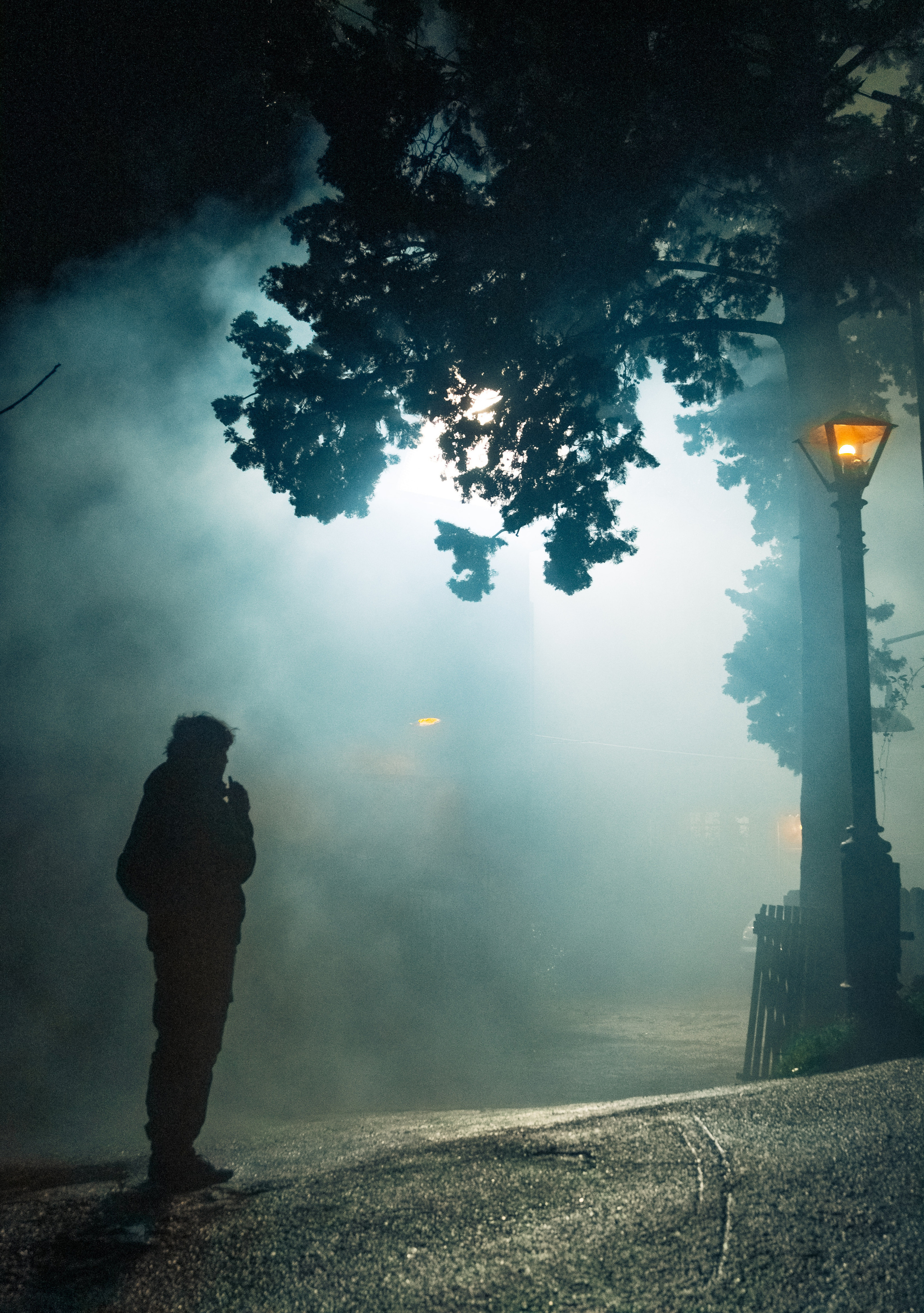 PHOTO GALLERY. DOP Yulia Popova