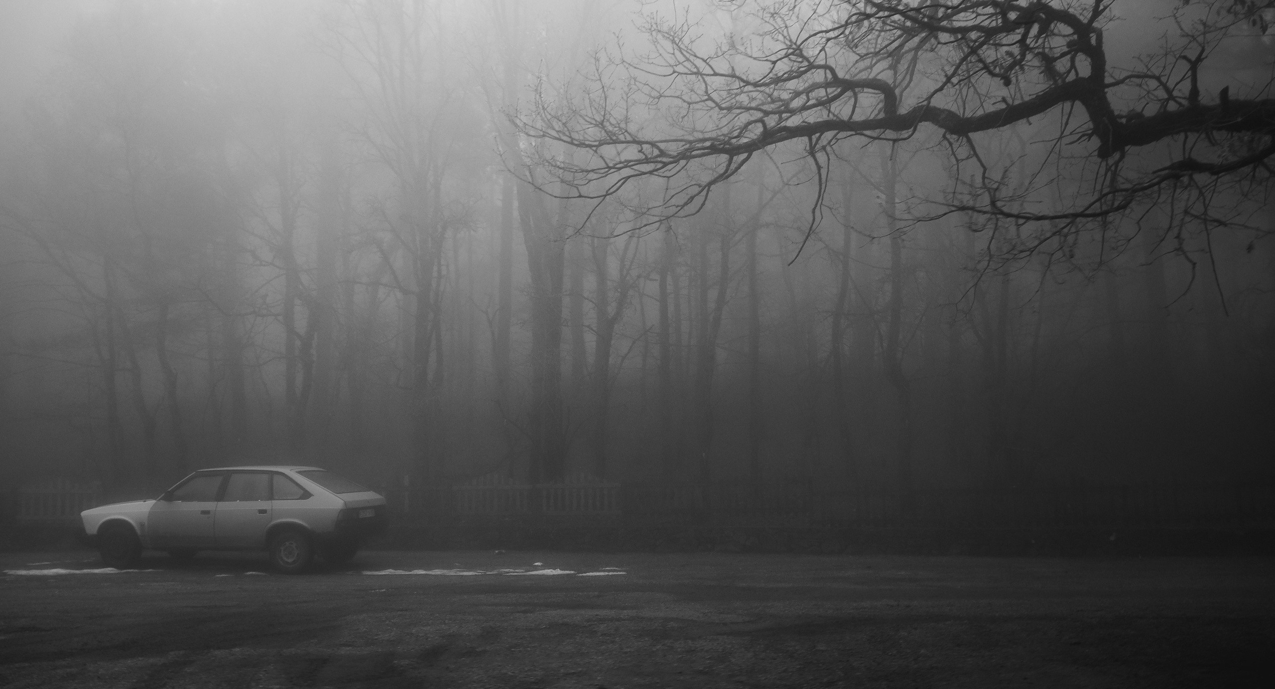 PHOTO GALLERY. DOP Yulia Popova