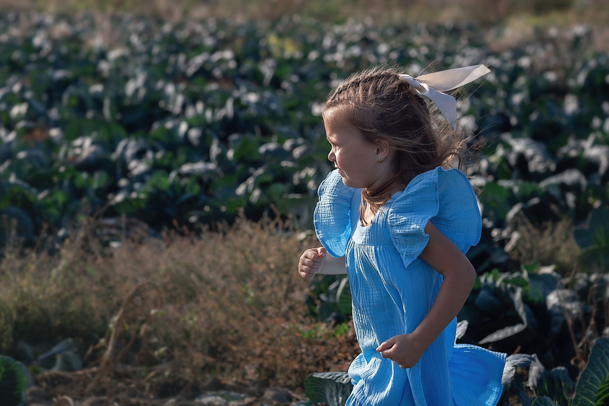 Капустное поле_Ленинградская область. Семейный фотограф в Санкт-Петербурге