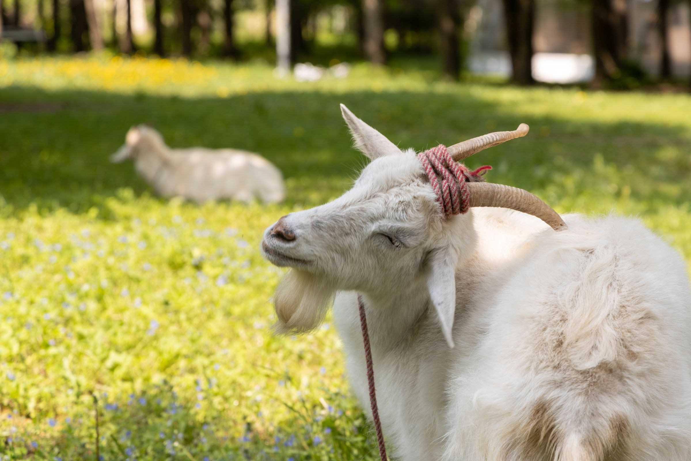 Частные мероприятия. Фотограф на мероприятие в Москве Марик