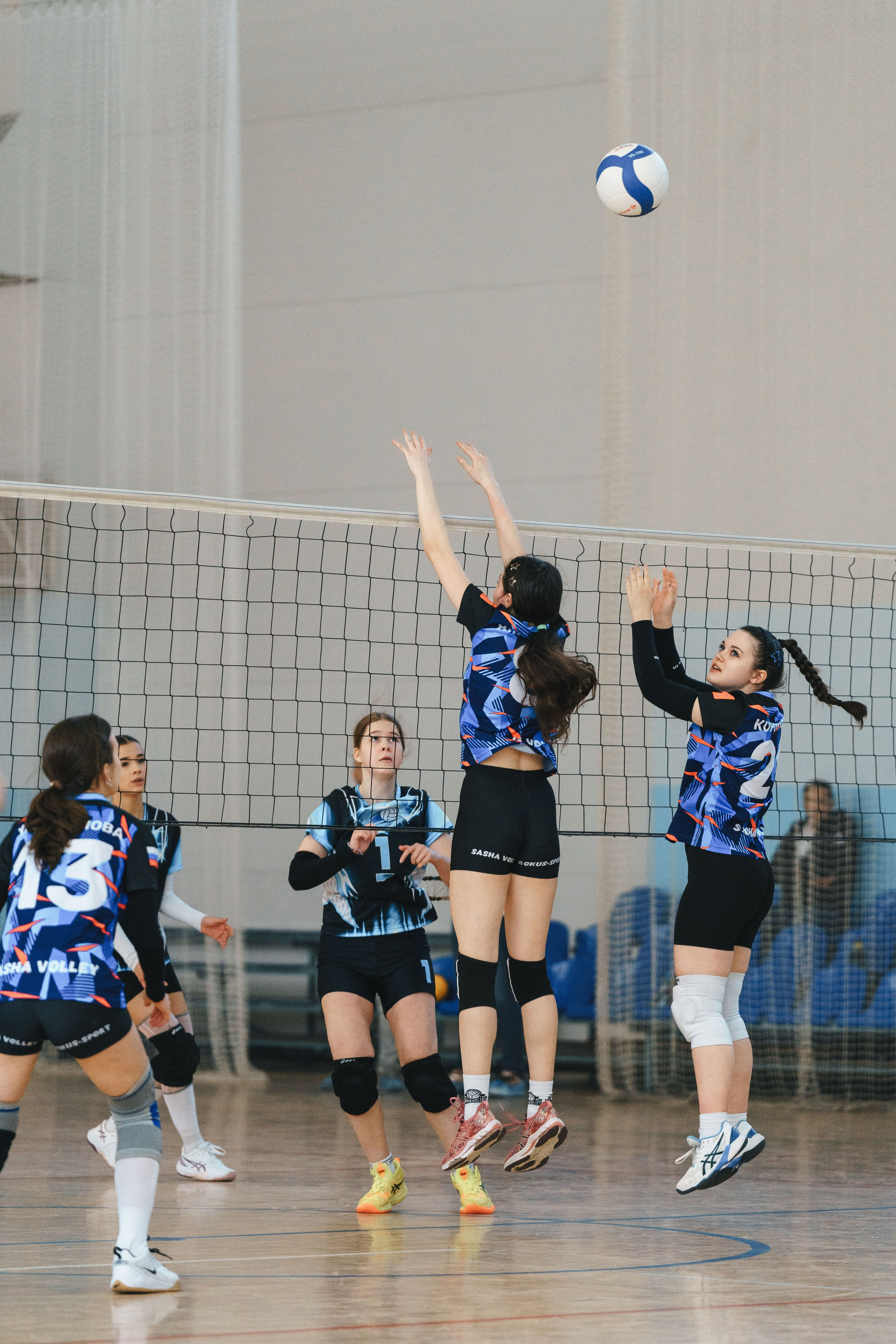 Волейбол торус. Фотограф-анималист в Санкт-Петербурге