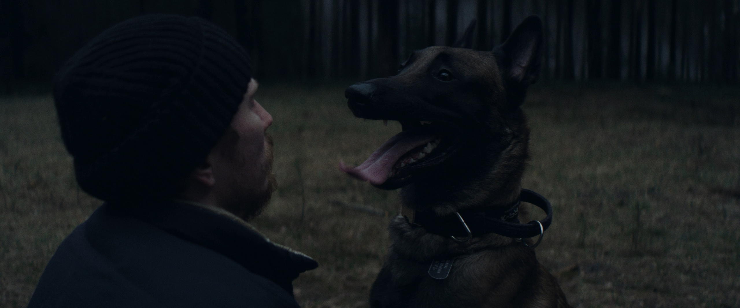 «ЗВЕРЬ» — short film. DANILA KOMKIN — Colorist