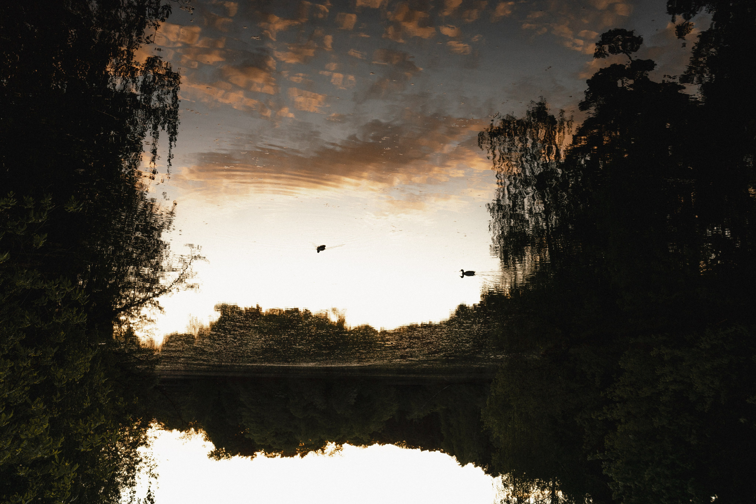 Сладкий май. Фотограф Анна Кобазева, Москва