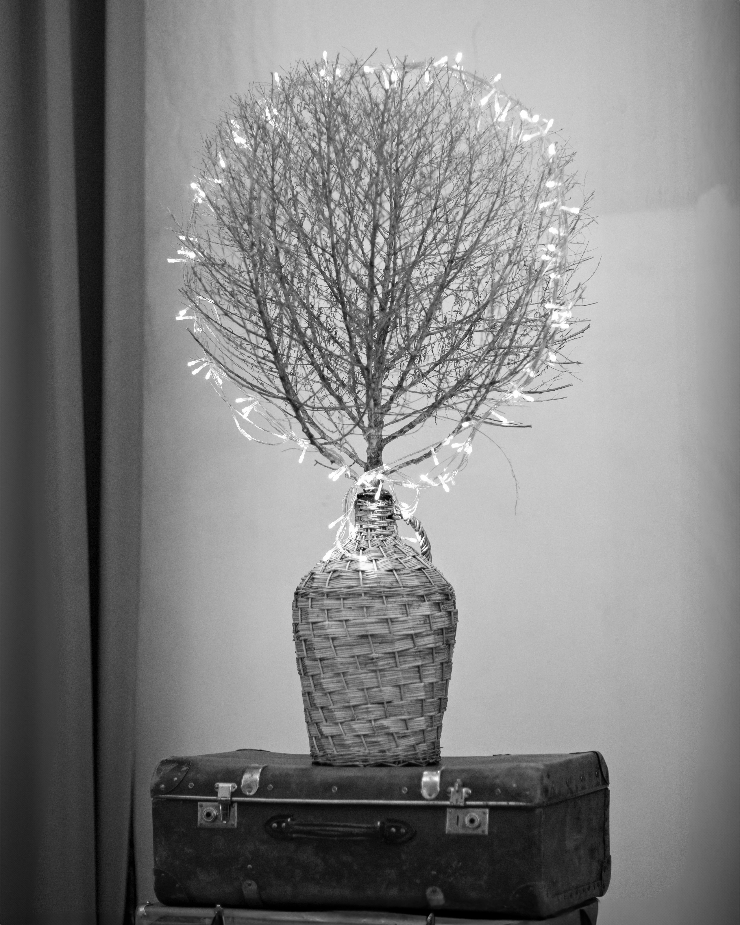 МК Рождественский венок. Семейный и детский фотограф в Москве Юлия