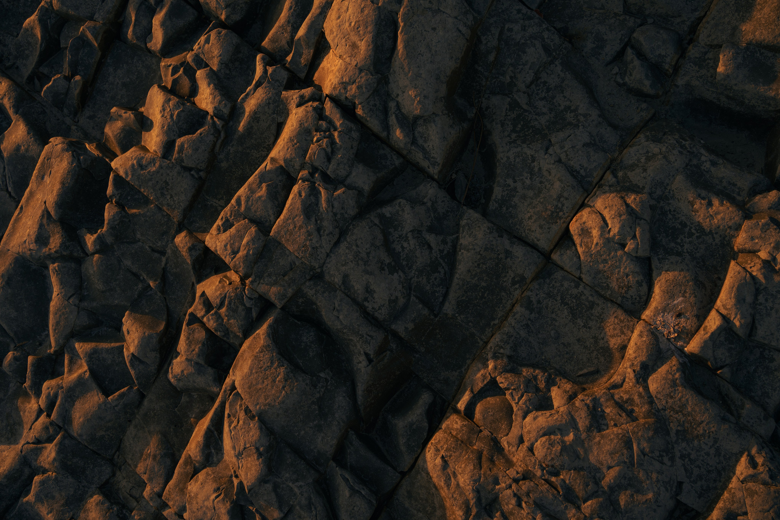 Лиса на море 🦊. Свадебный и репортажный фотограф Ростов-на-Дону Алексей Гуль