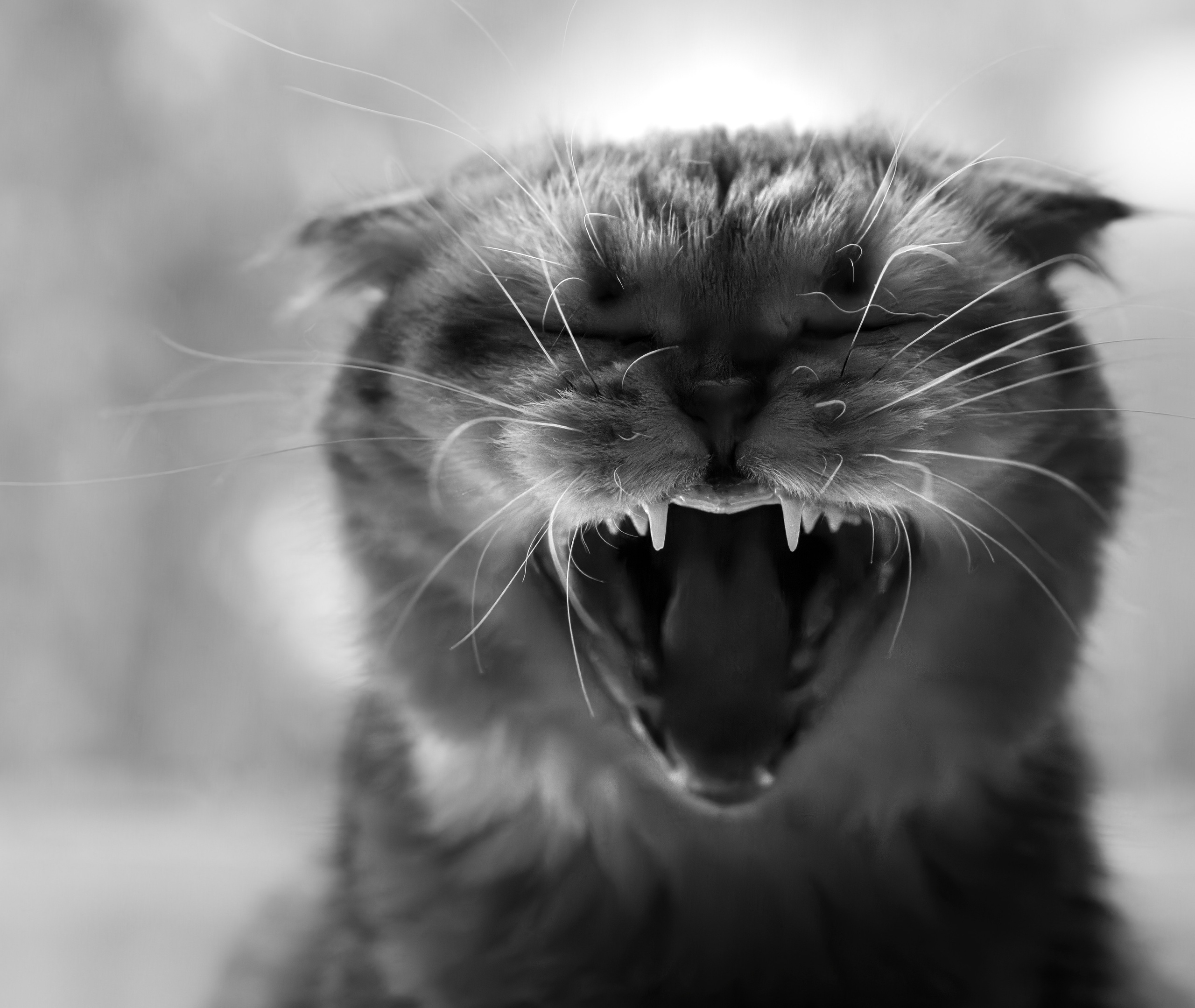 Арт. Oles Paritskiy