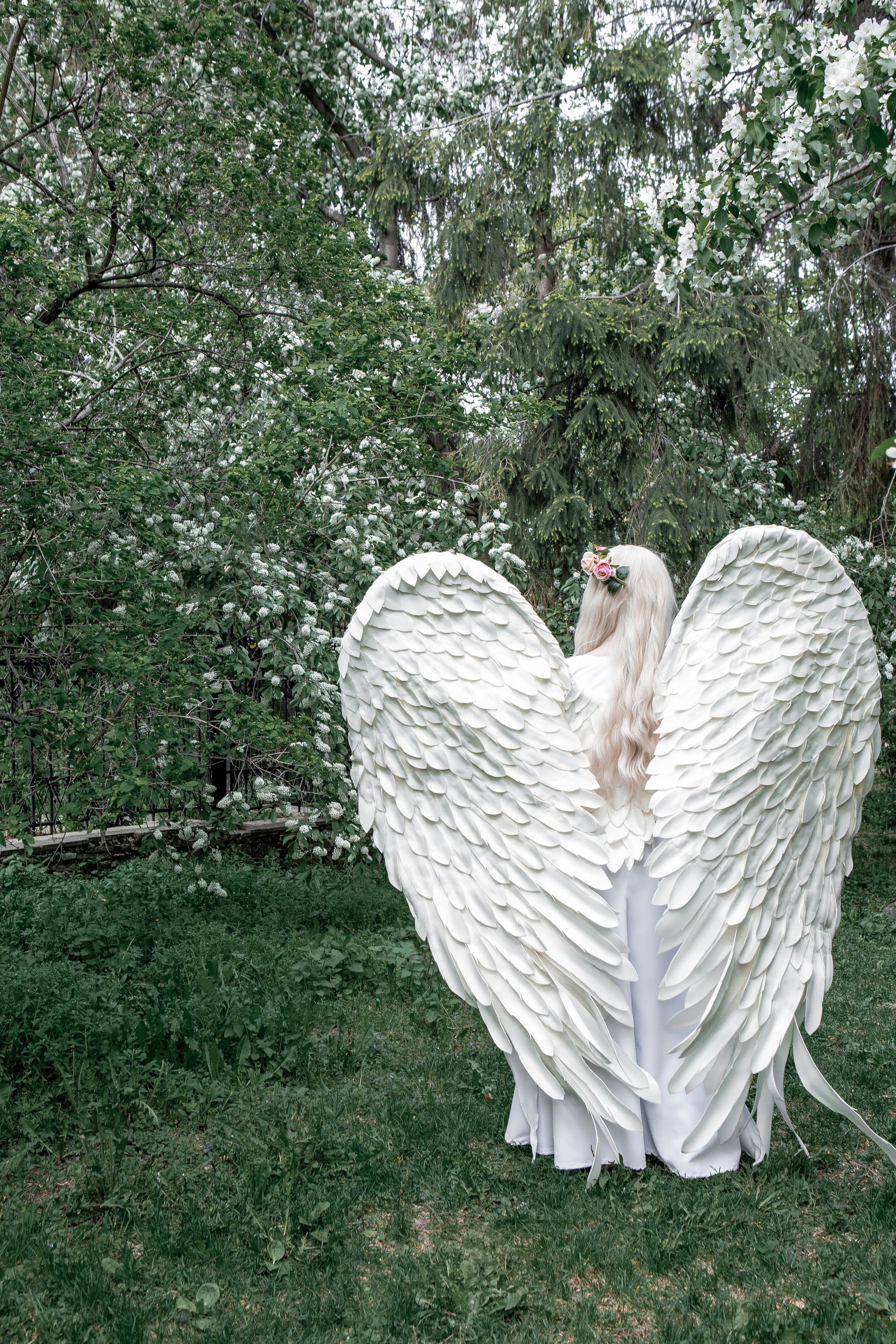 Майское цветение. Фотограф Екатерина Голицына