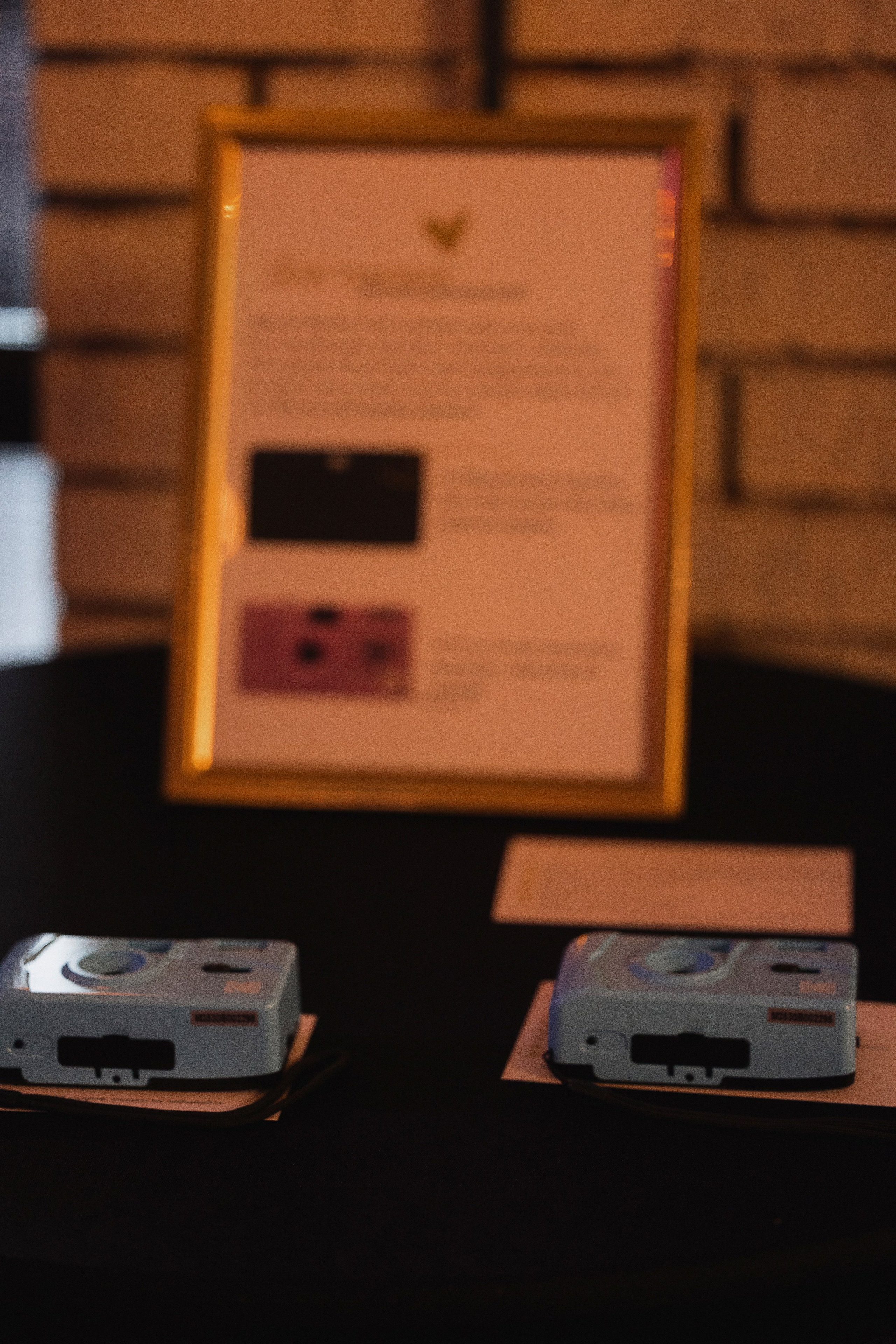 A&N. Свадебный фотограф Лиза Макатович Беларусь Минск