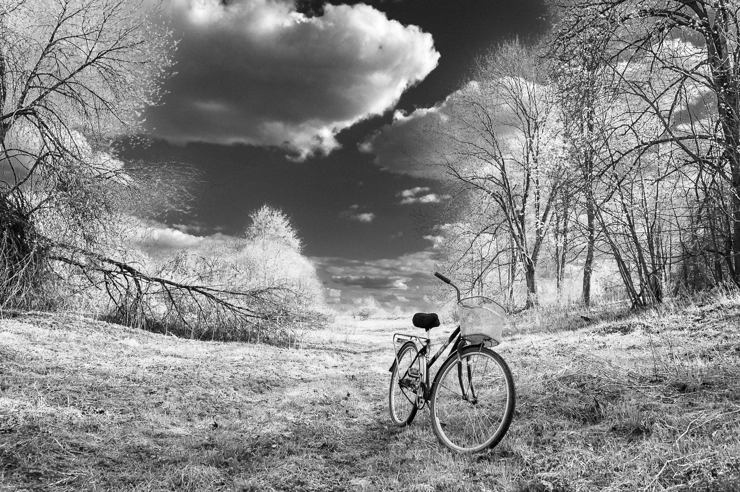 Жизнь деревенская. Фотограф Антон Швец — Монохромная реальность