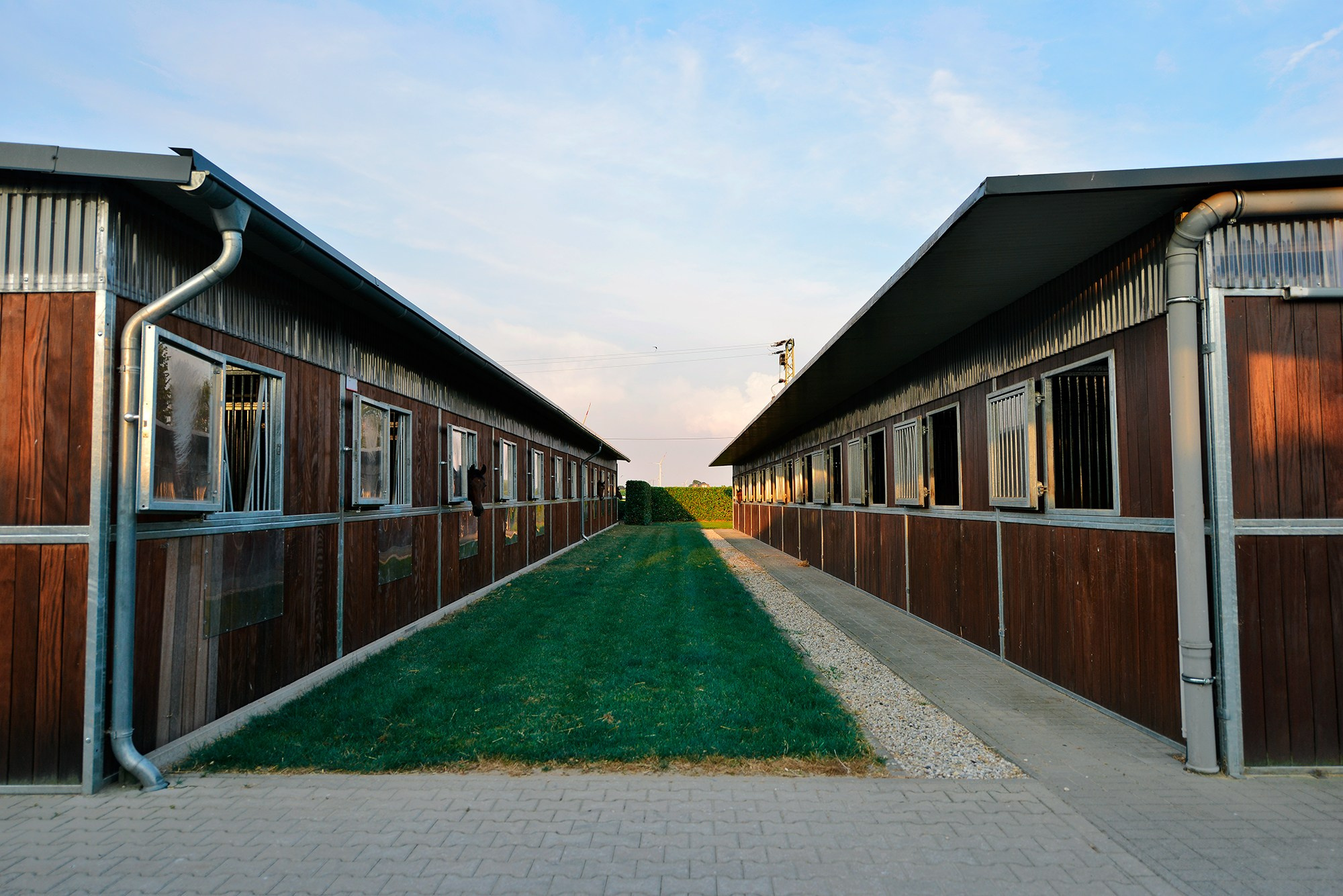 ЕС. Конный фотограф Alesya Safe