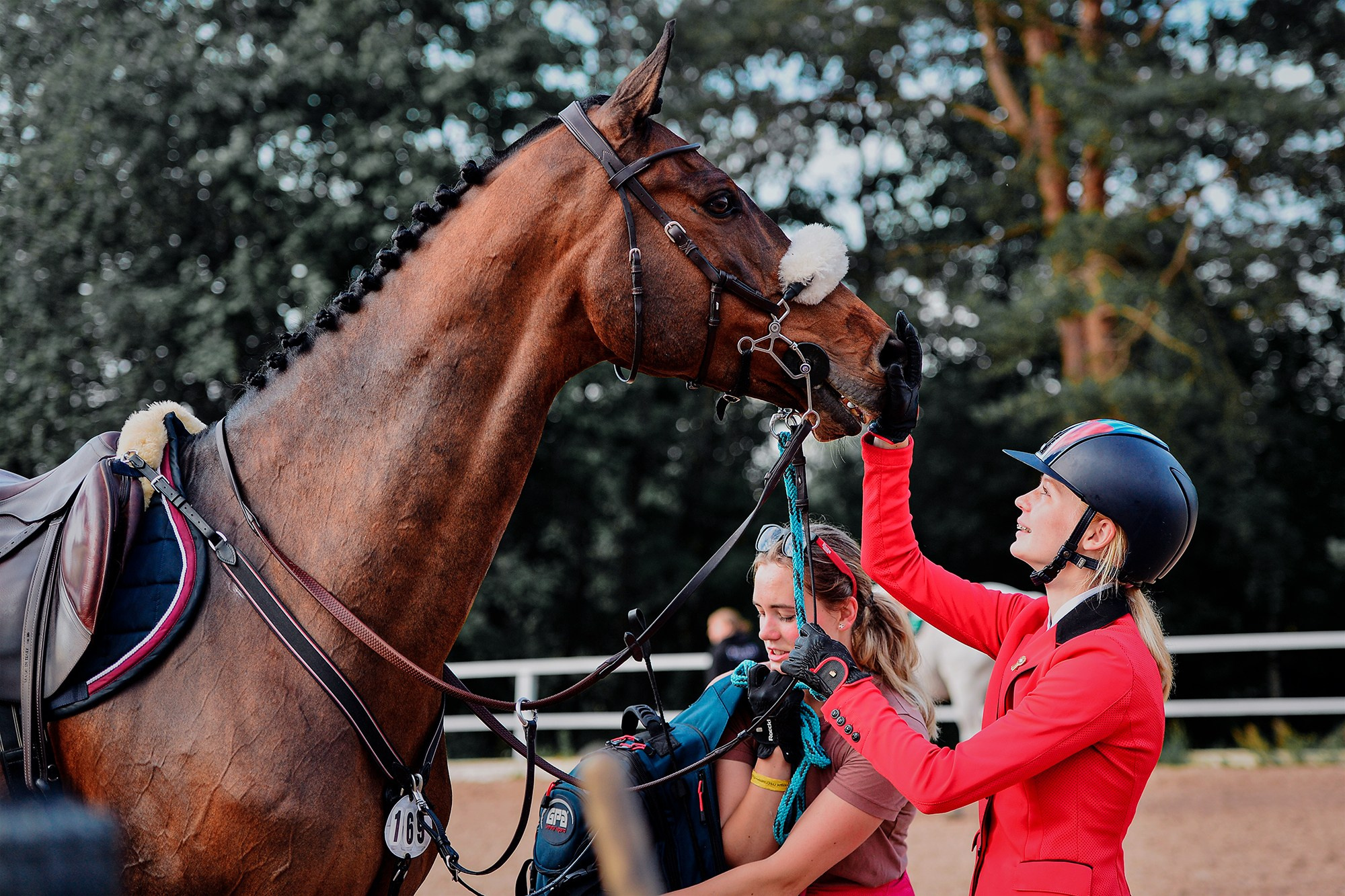 Конкур. Конный фотограф Alesya Safe