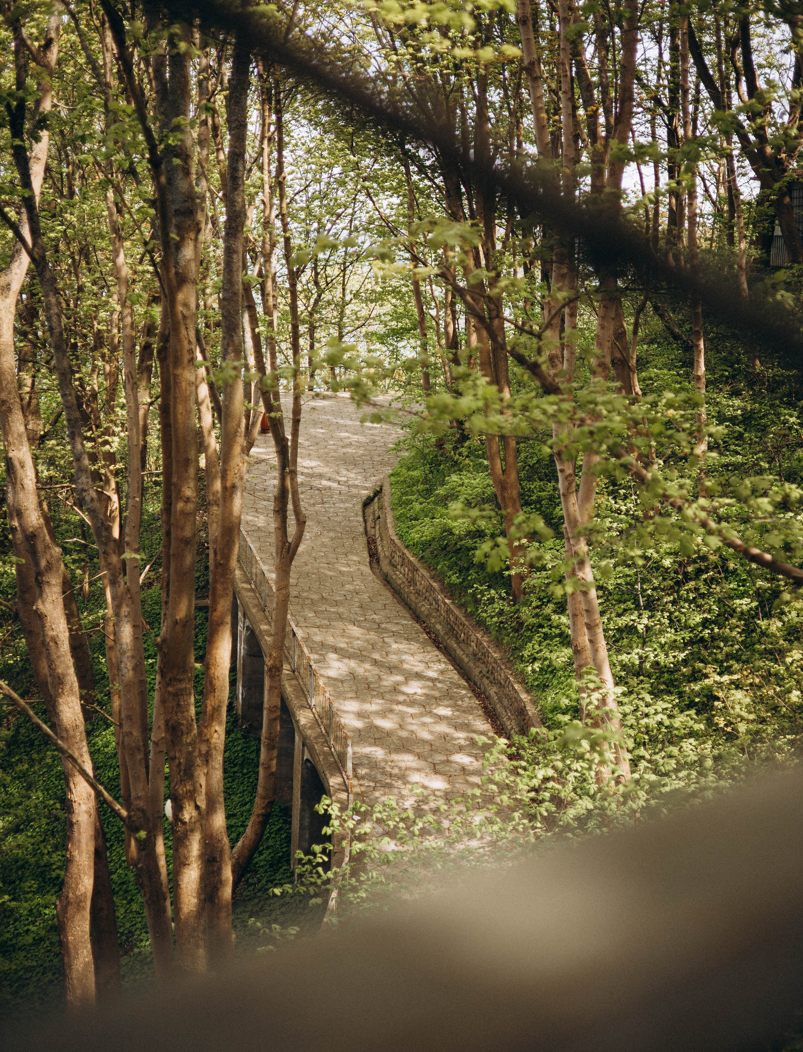 По Калининградской области. Фотограф Кострома | Калининград