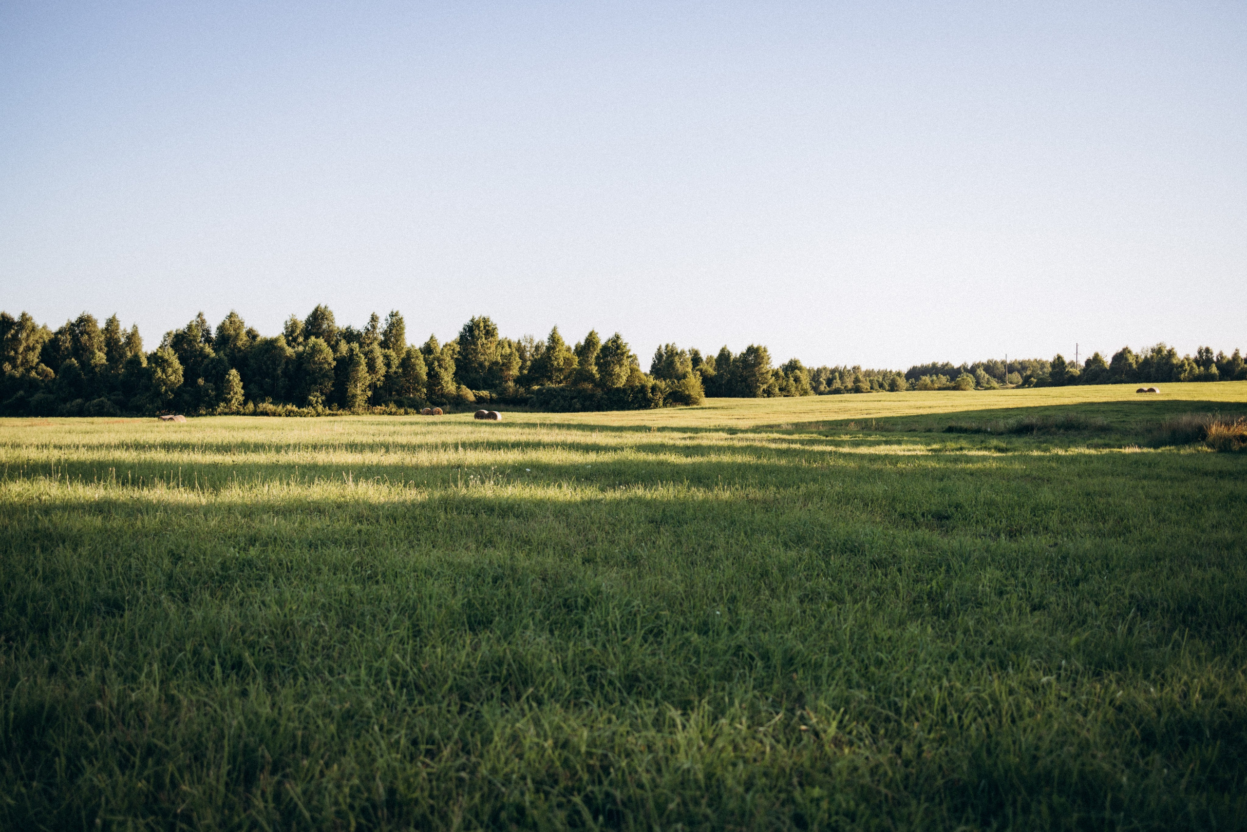 Фотограф Елена Рябцева