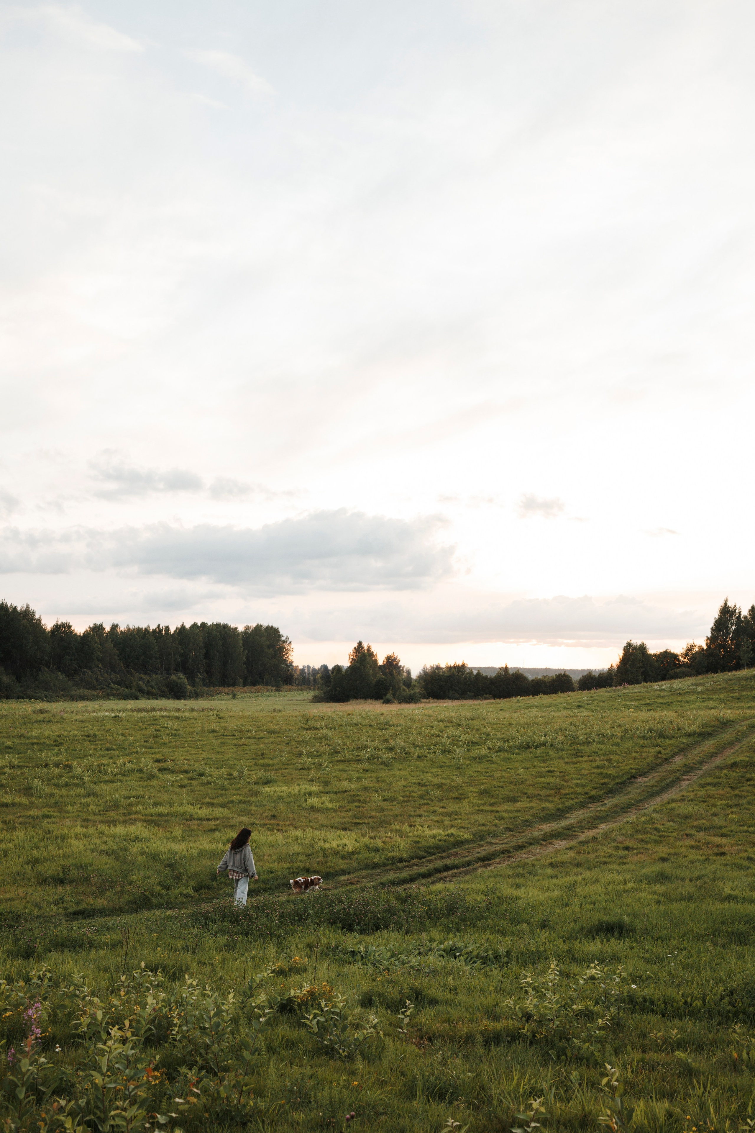 На закате Катерина, Луна и Рикки. Фотограф-анималист в Санкт-Петеребурге Титова Алиса