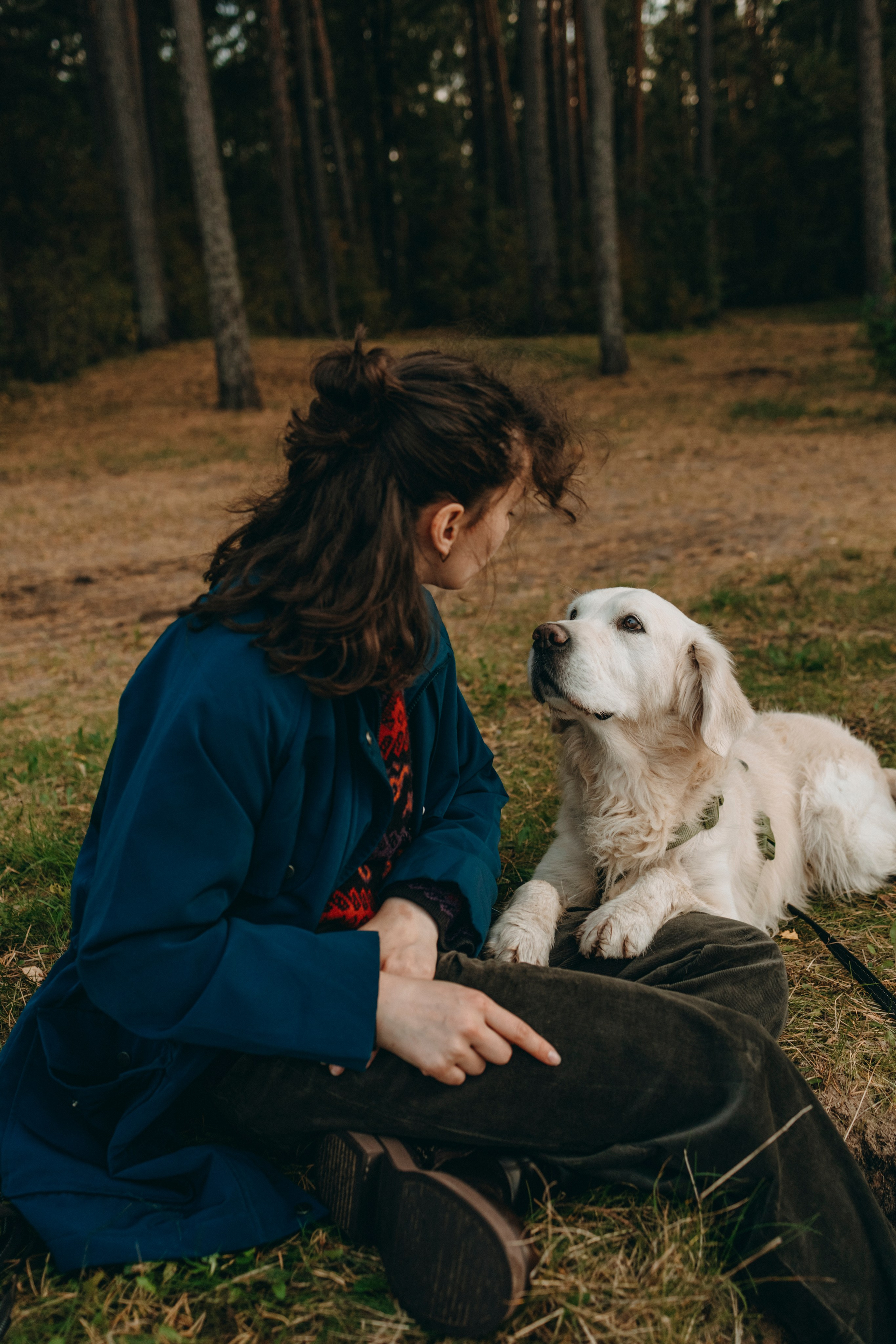 Прогулка Насти с Арчи и Арагоном. Фотограф-анималист в Санкт-Петеребурге Титова Алиса