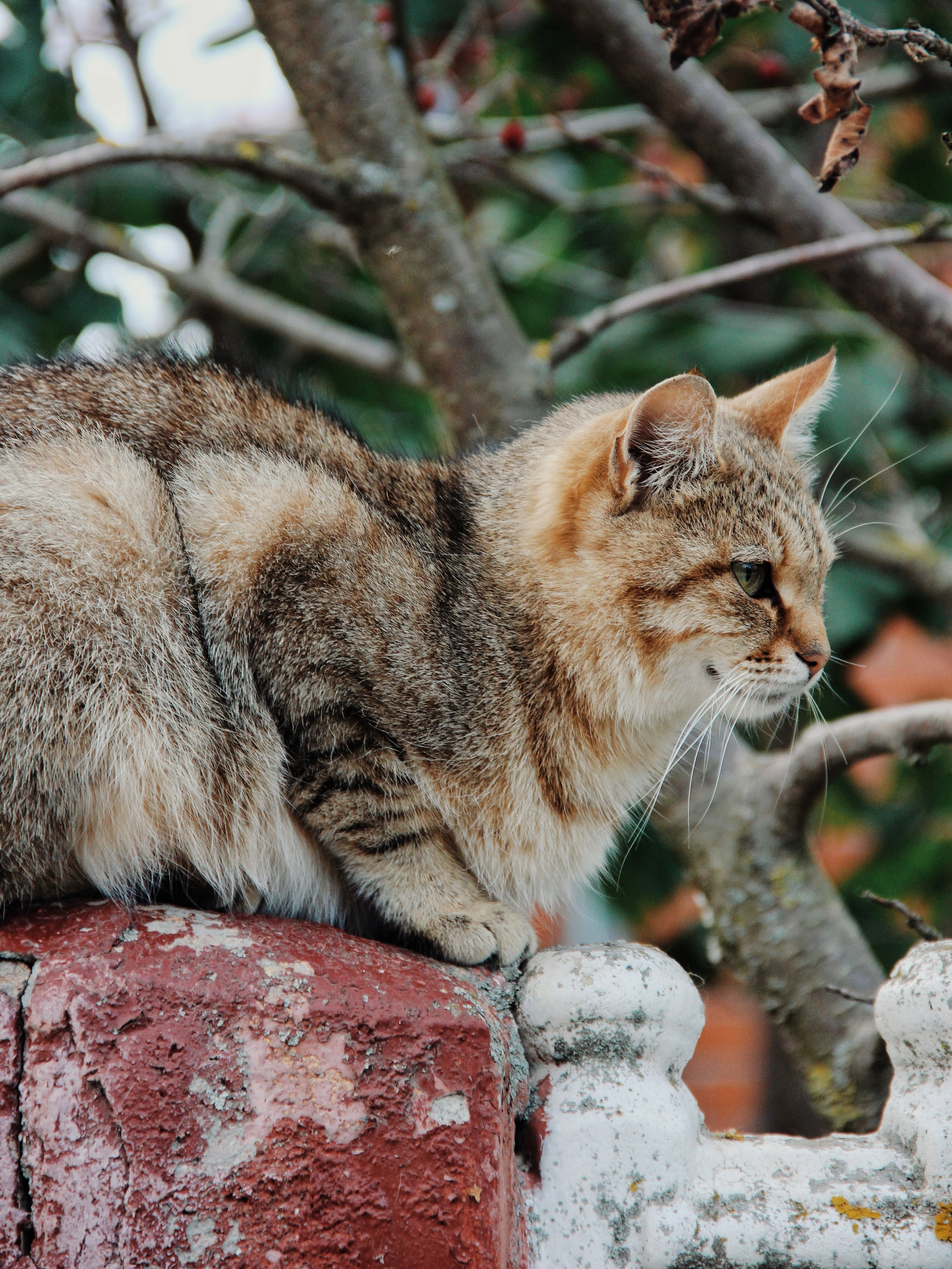 Уличные модели. С любовью, фотохудожник