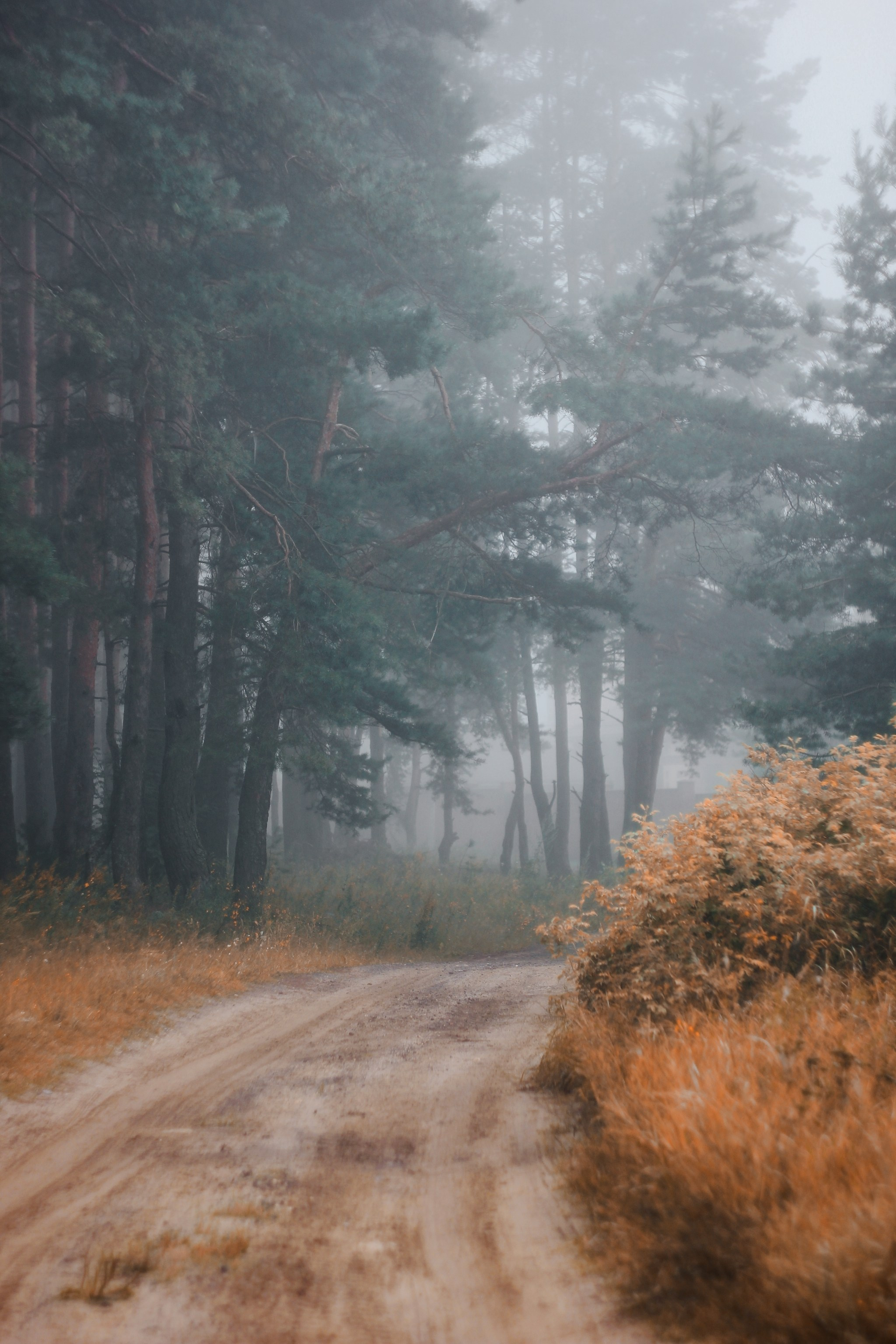 Меланхолия августа. С любовью, фотохудожник