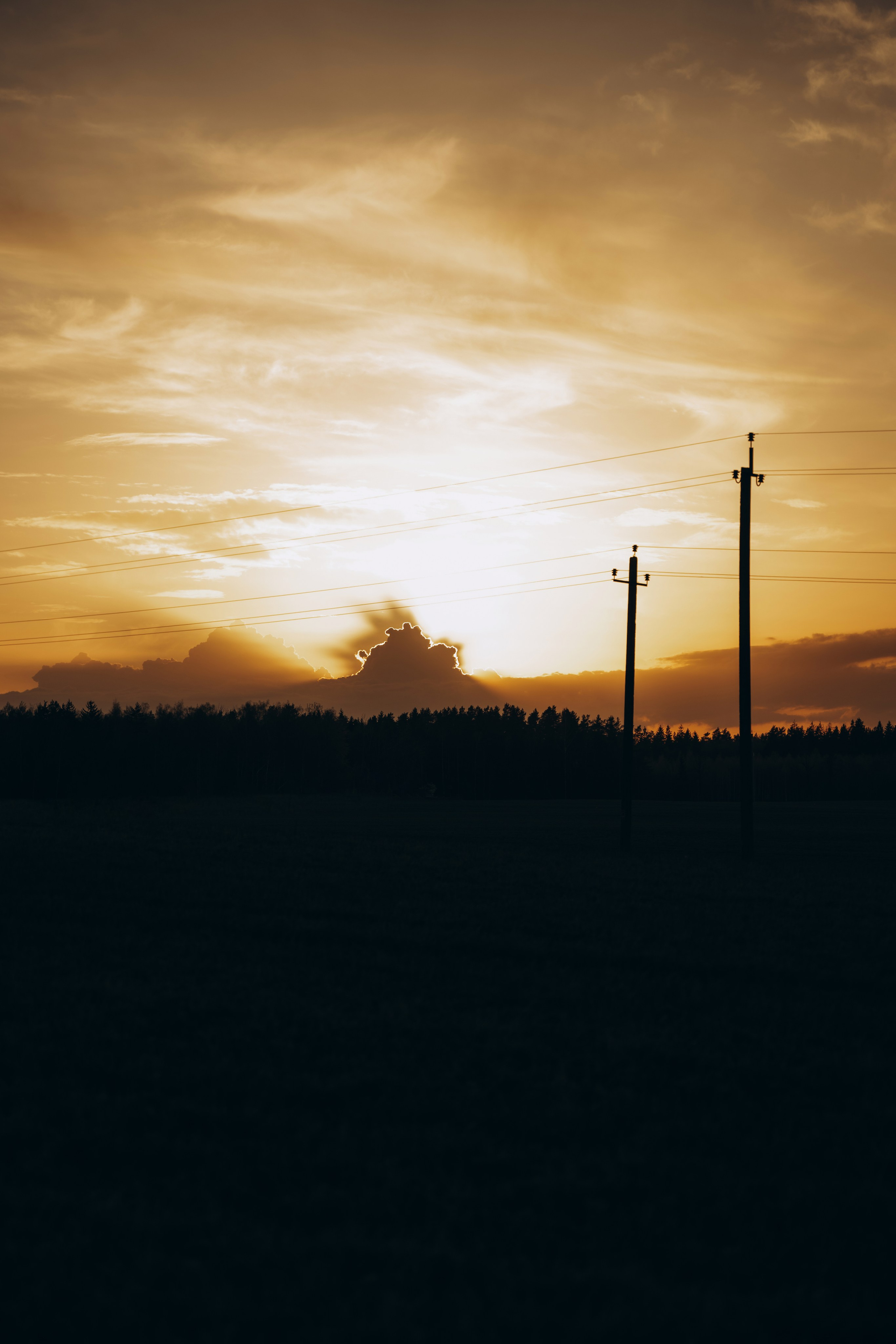 Аня, Матвей и Эбби. Фотограф Мария Миллс | Минск