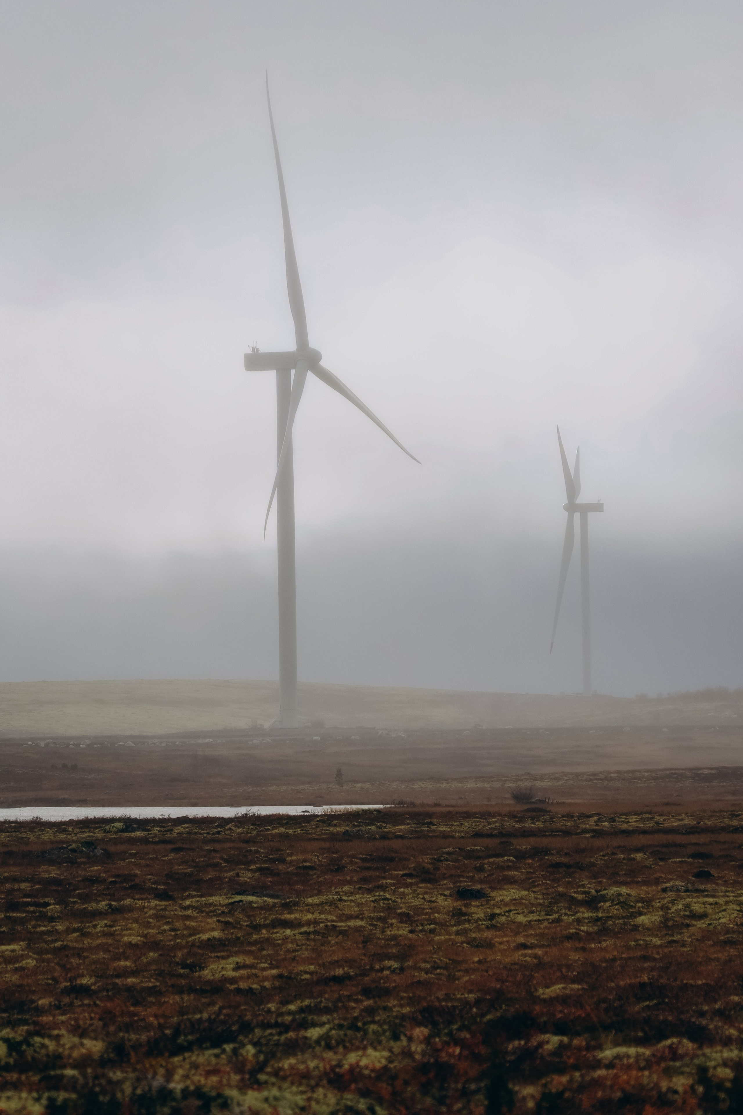 СЕВЕР. Event фотограф Степанова Александра